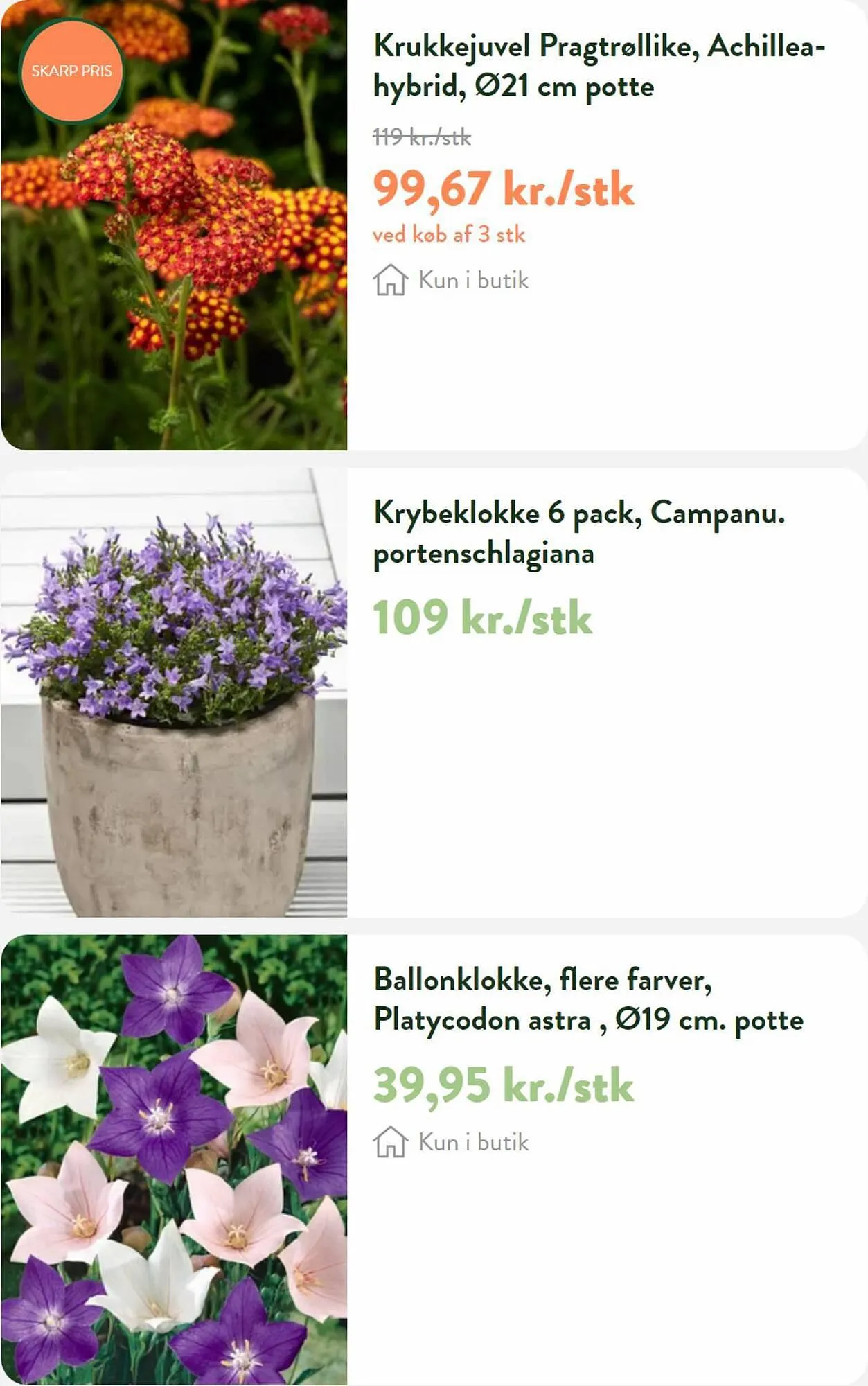 Plantorama tilbudsavis Gyldig indtil 13. juli - 11. august 2023 - tilbudsavis side 4