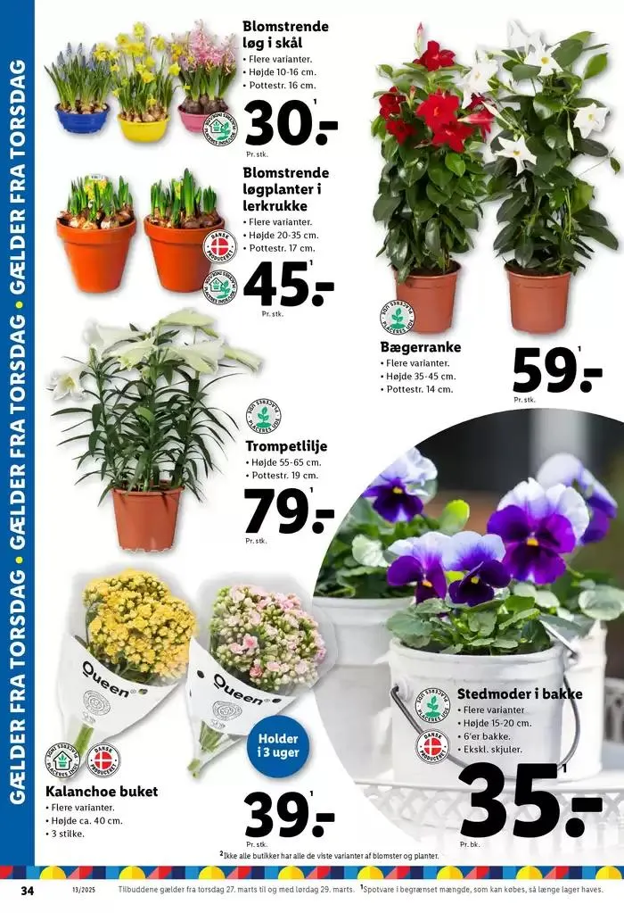 Toptilbud og rabatter Gyldig indtil 19. marts - 29. marts 2025 - tilbudsavis side 34