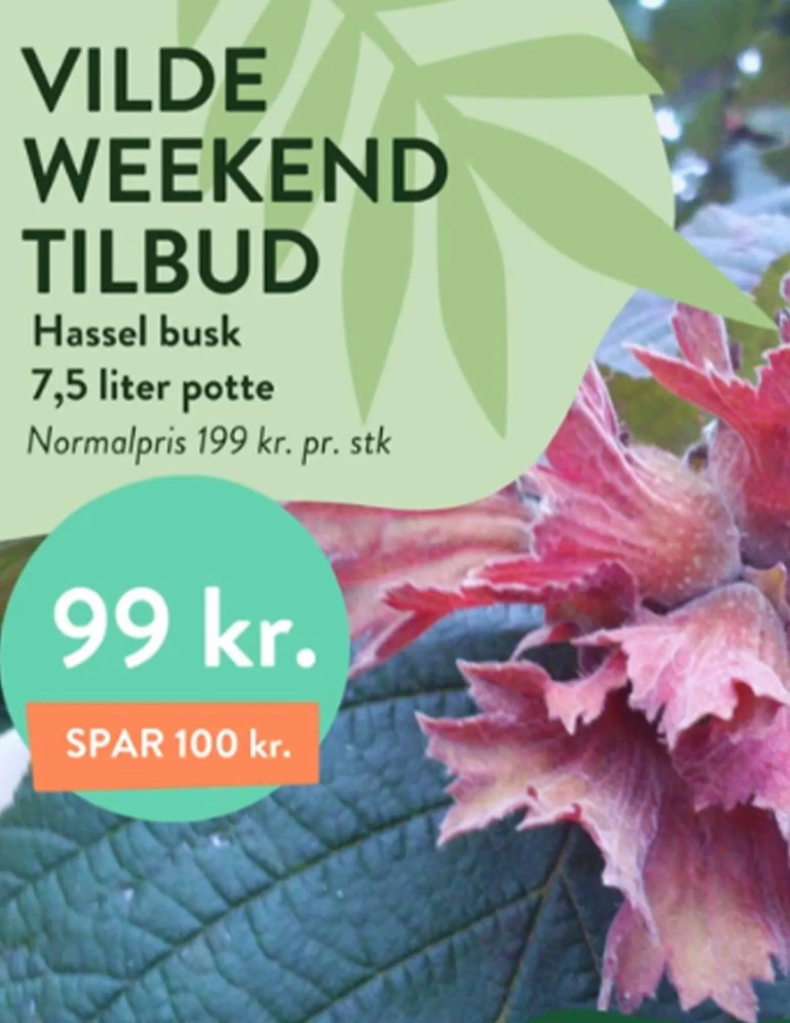 Plantorama tilbudsavis Gyldig indtil 28. august - 11. september 2023 - tilbudsavis side 5