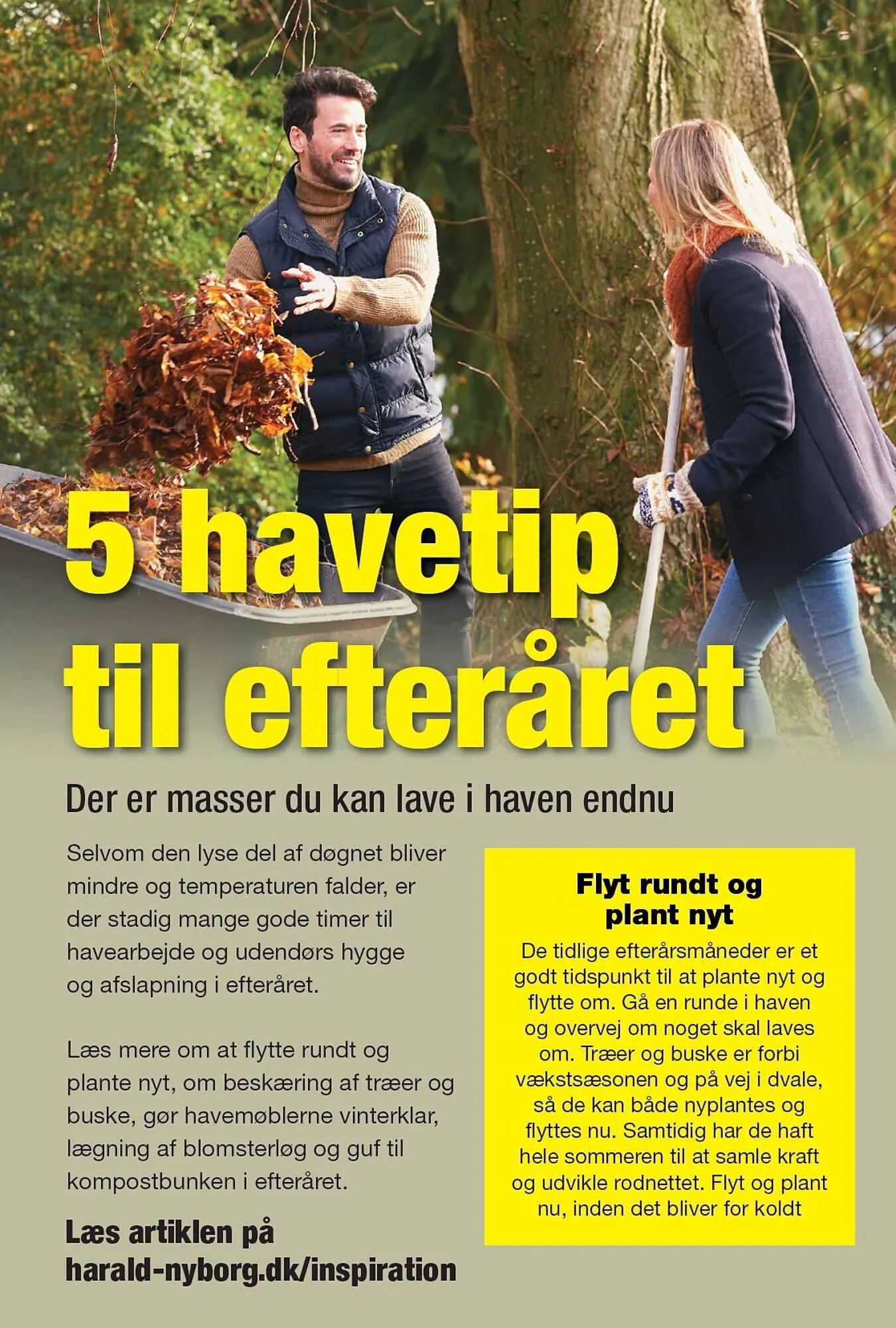 Harald Nyborg tilbudsavis Gyldig indtil 3. oktober - 9. oktober 2024 - tilbudsavis side 13