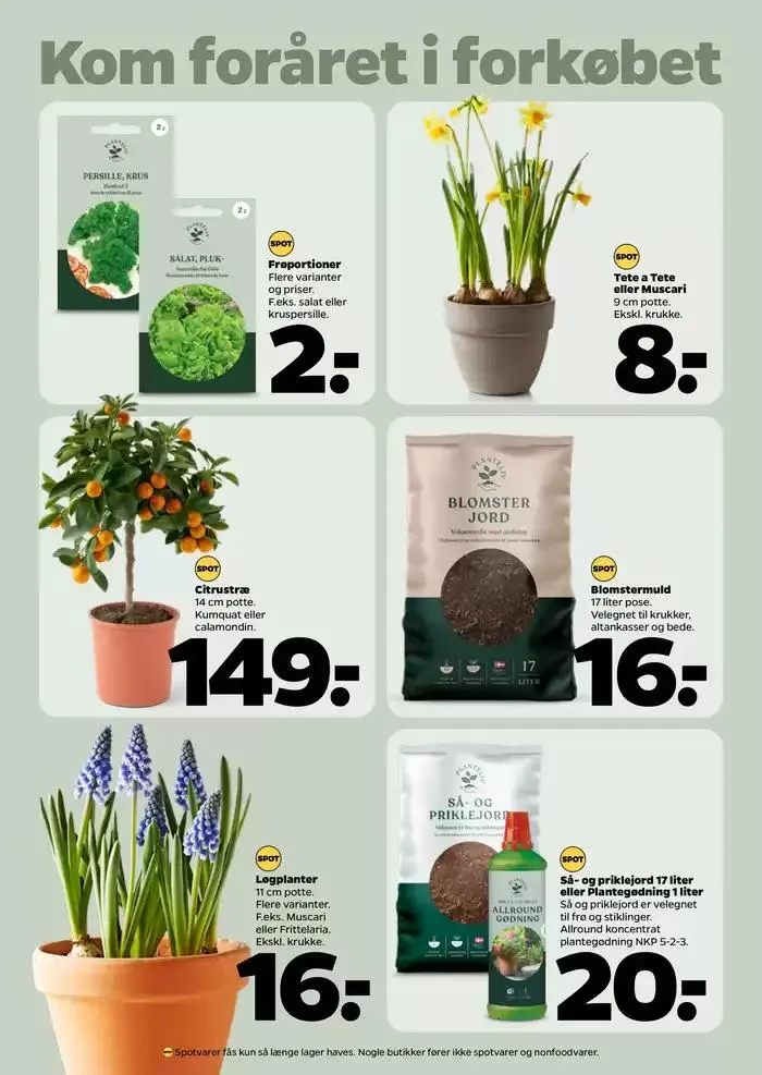 Netto uge 6 Gyldig indtil 31. januar - 7. februar 2025 - tilbudsavis side 32