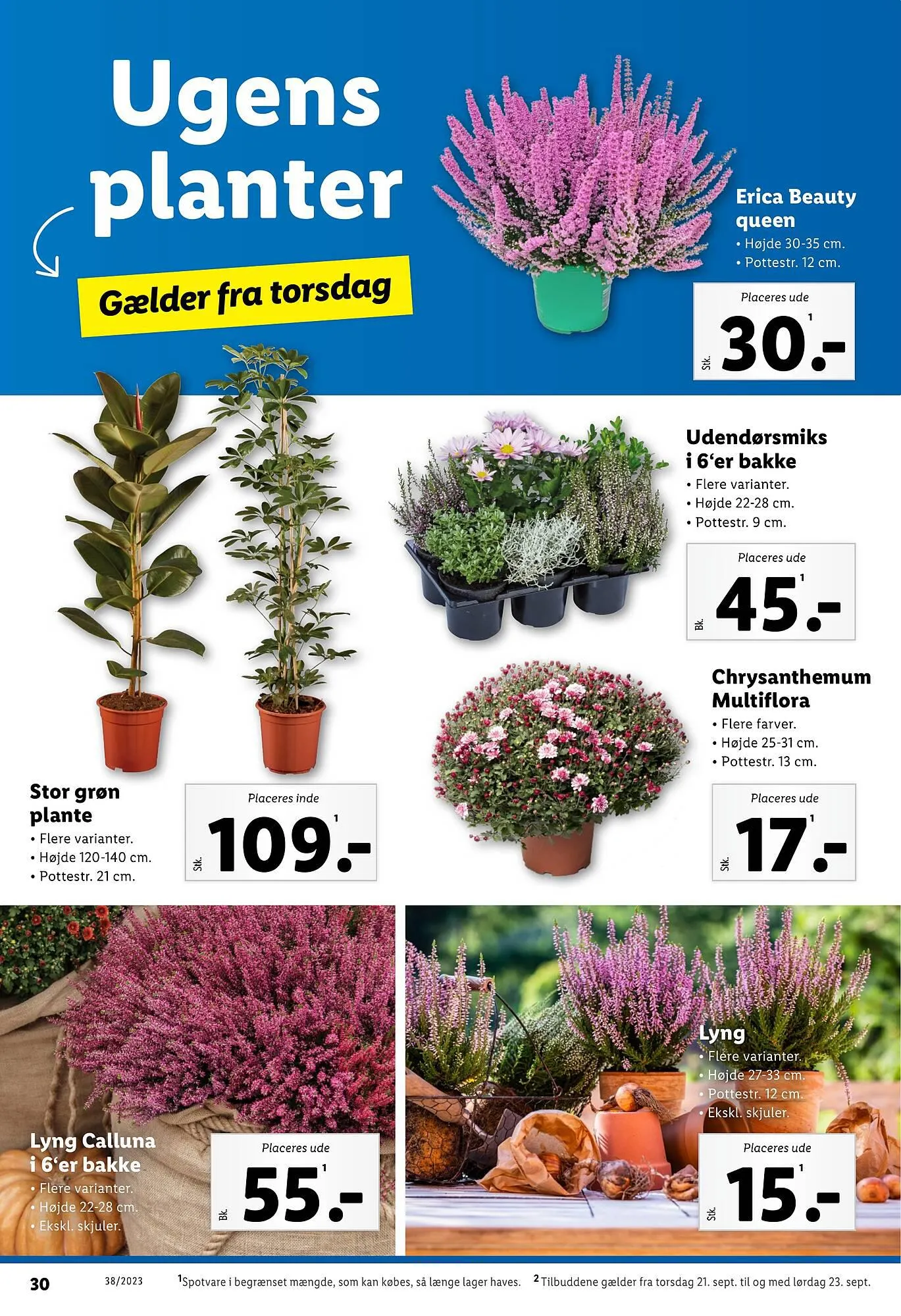 Lidl tilbudsavis Gyldig indtil 17. september - 23. september 2023 - tilbudsavis side 30