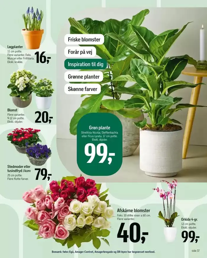 Føtex Tilbudsavis Gyldig indtil 28. februar - 13. marts 2025 - tilbudsavis side 46