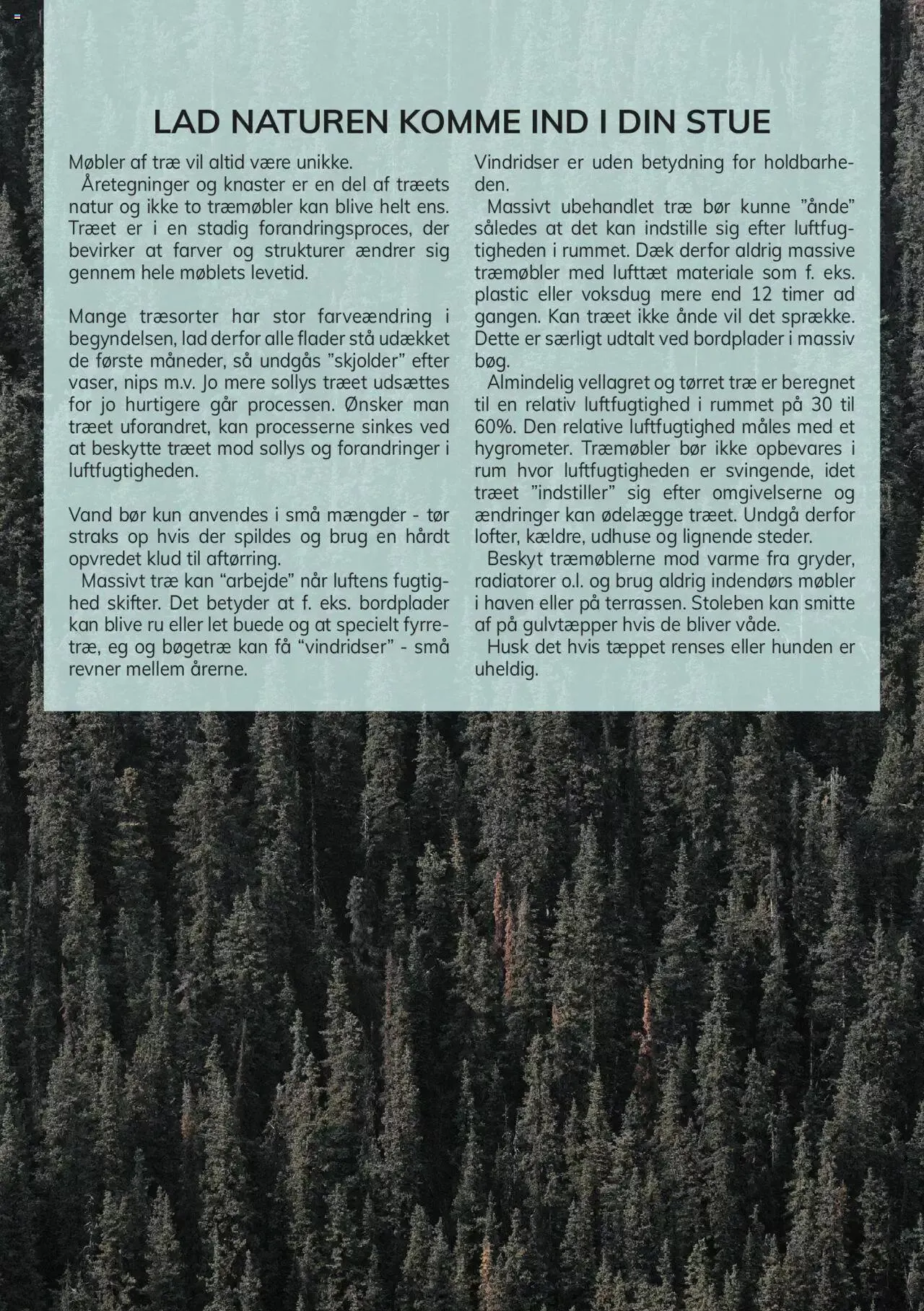 Daells Bolighus - Træmøbler pleje Gyldig indtil 1. januar - 31. december 2023 - tilbudsavis side 2