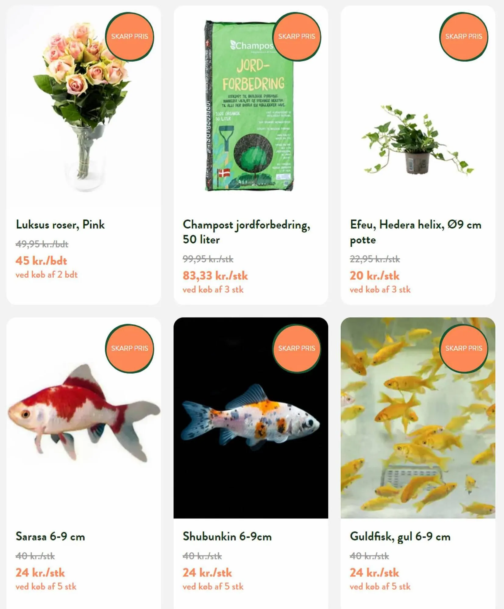 Plantorama tilbudsavis Gyldig indtil 28. september - 12. oktober 2023 - tilbudsavis side 3