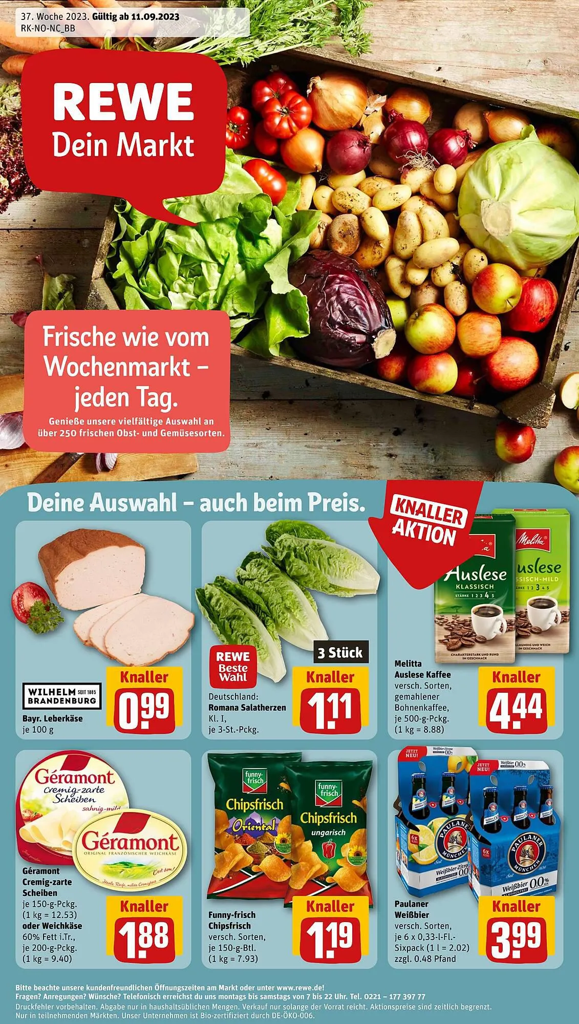 REWE tilbudsavis Gyldig indtil 11. september - 16. september 2023 - tilbudsavis side 1