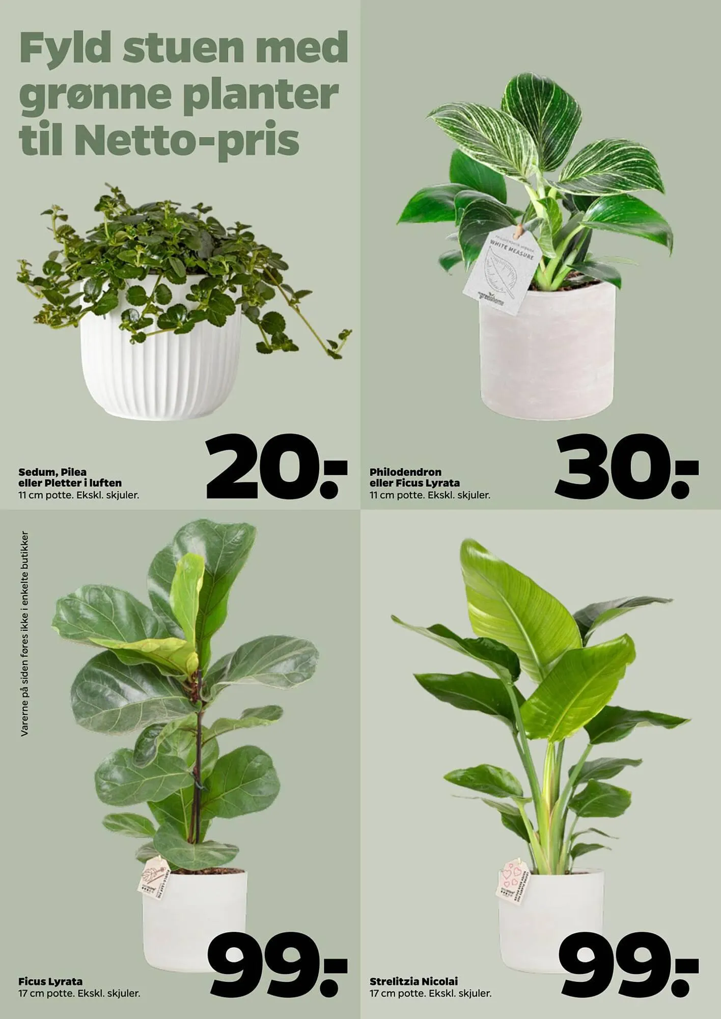 Netto tilbudsavis Gyldig indtil 19. januar - 26. januar 2024 - tilbudsavis side 31