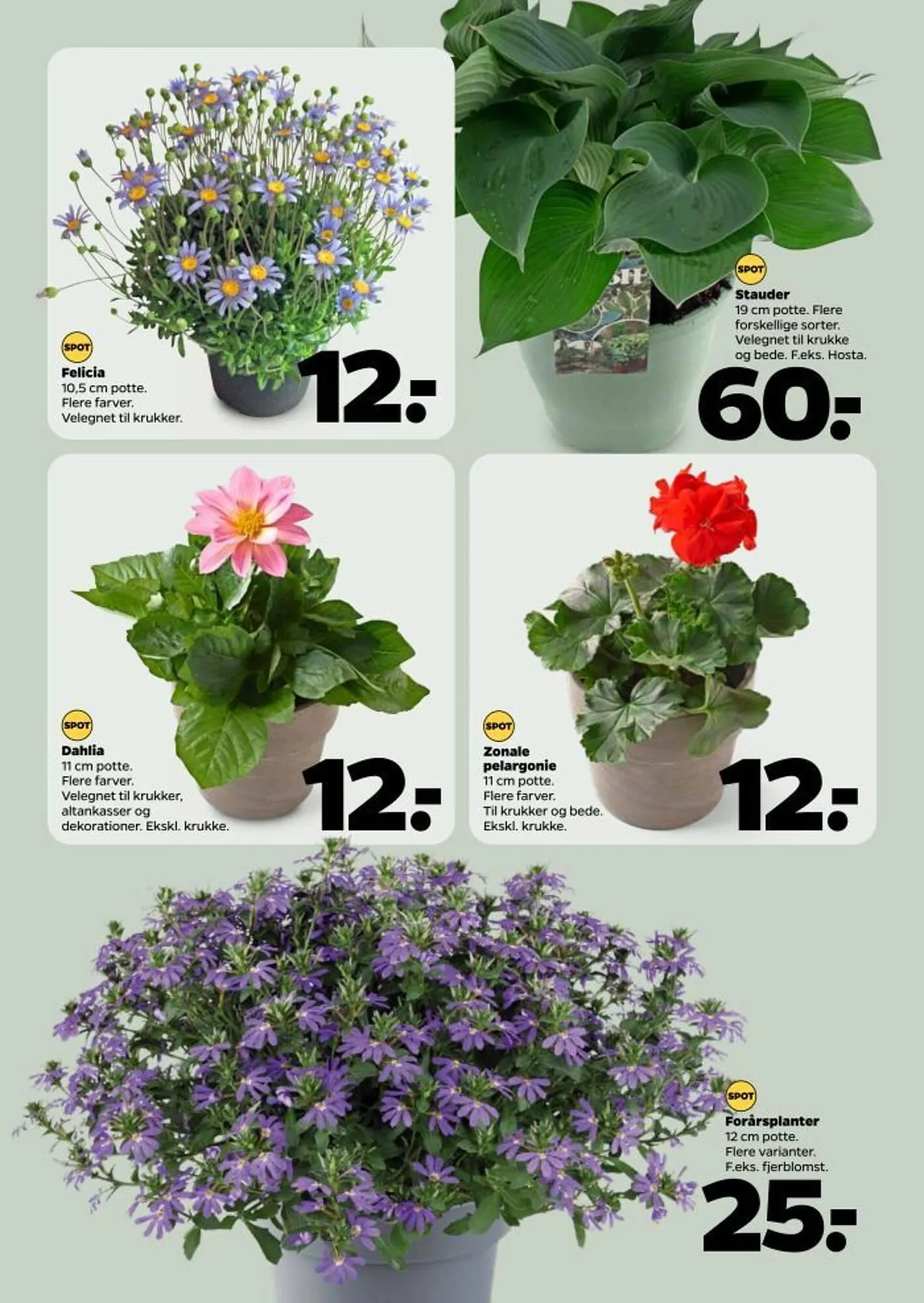 Netto tilbudsavis Gyldig indtil 3. maj - 9. maj 2025 - tilbudsavis side 35