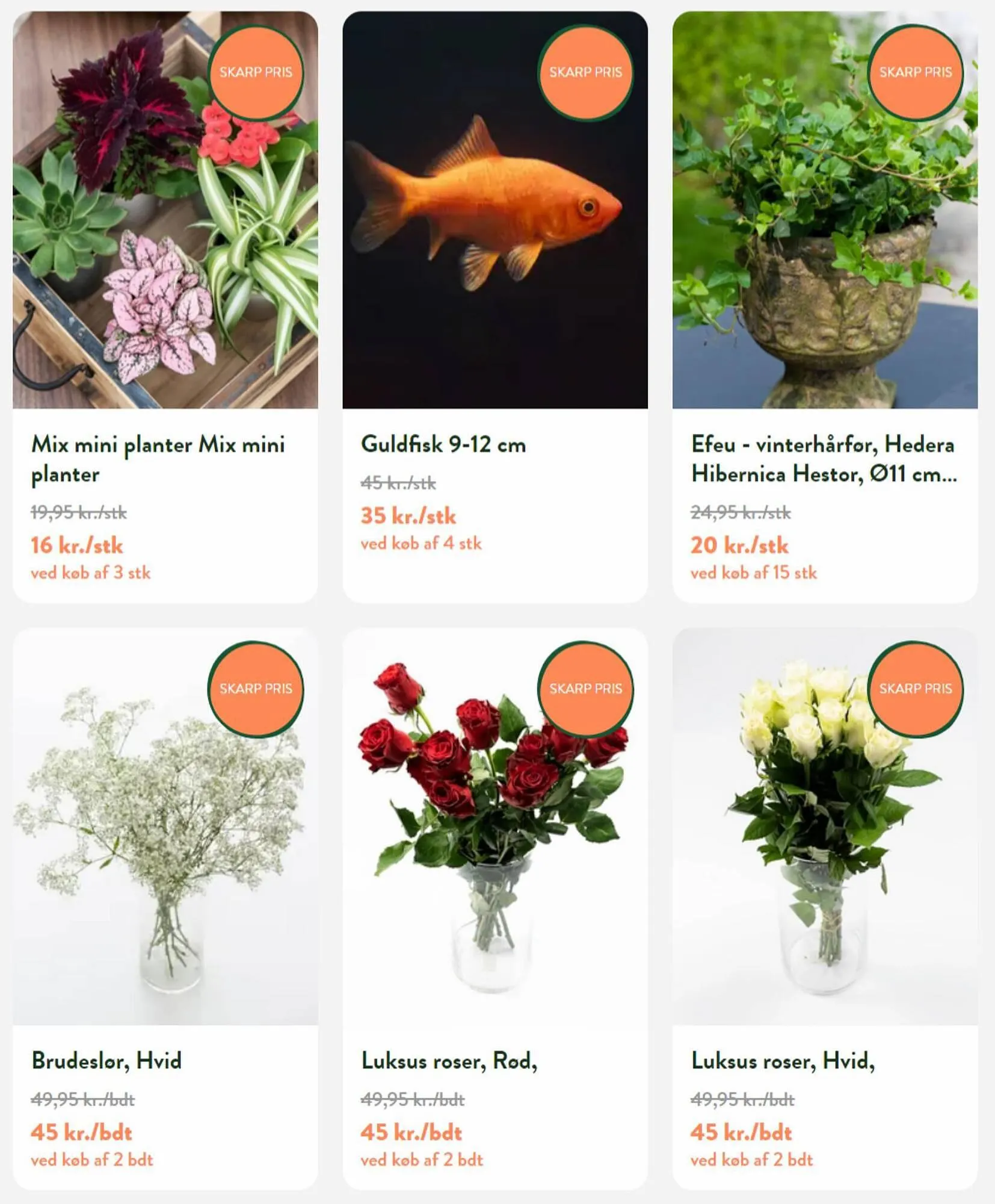 Plantorama tilbudsavis Gyldig indtil 28. september - 12. oktober 2023 - tilbudsavis side 2