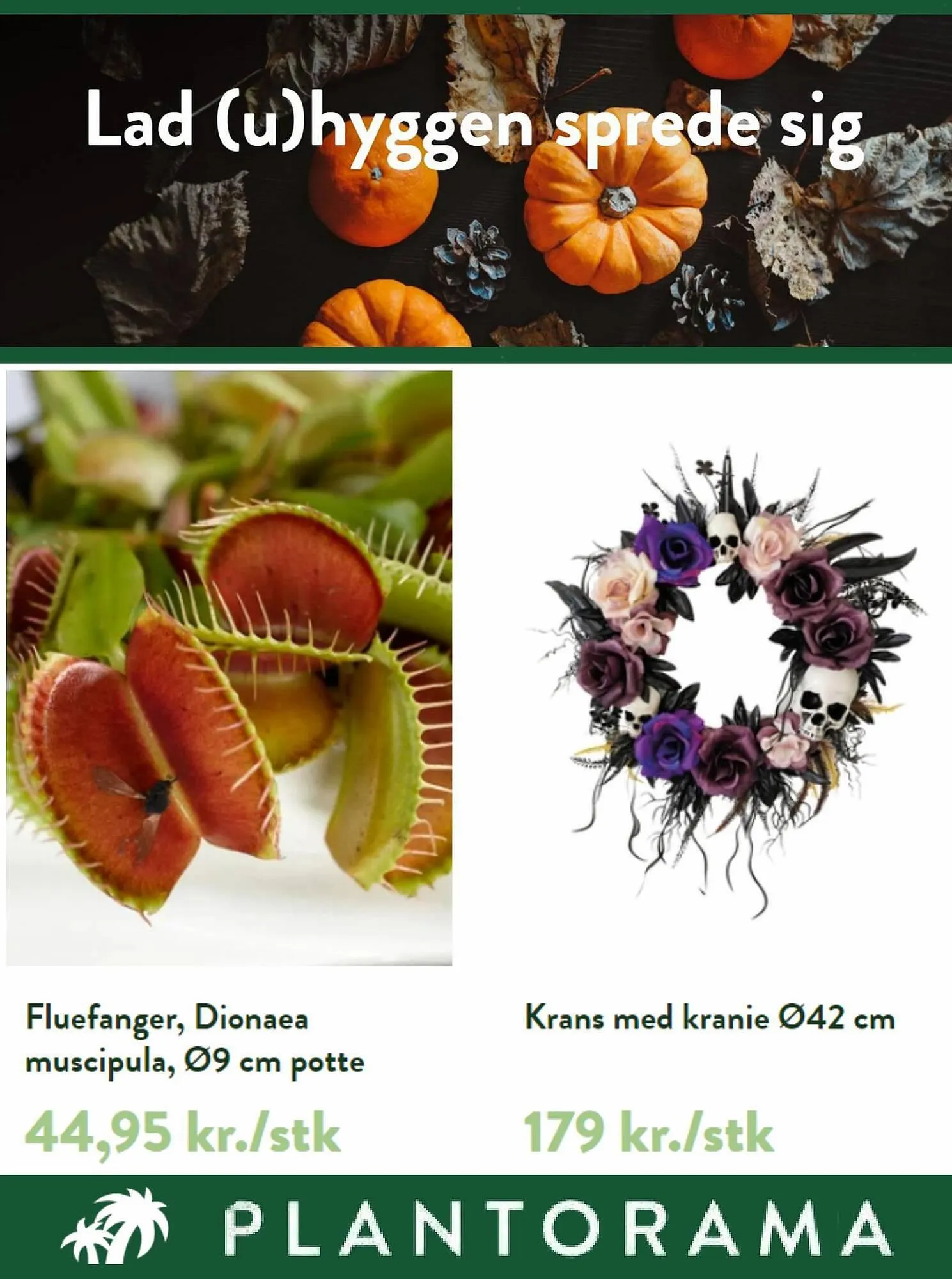 Plantorama tilbudsavis Gyldig indtil 16. oktober - 31. oktober 2023 - tilbudsavis side 5