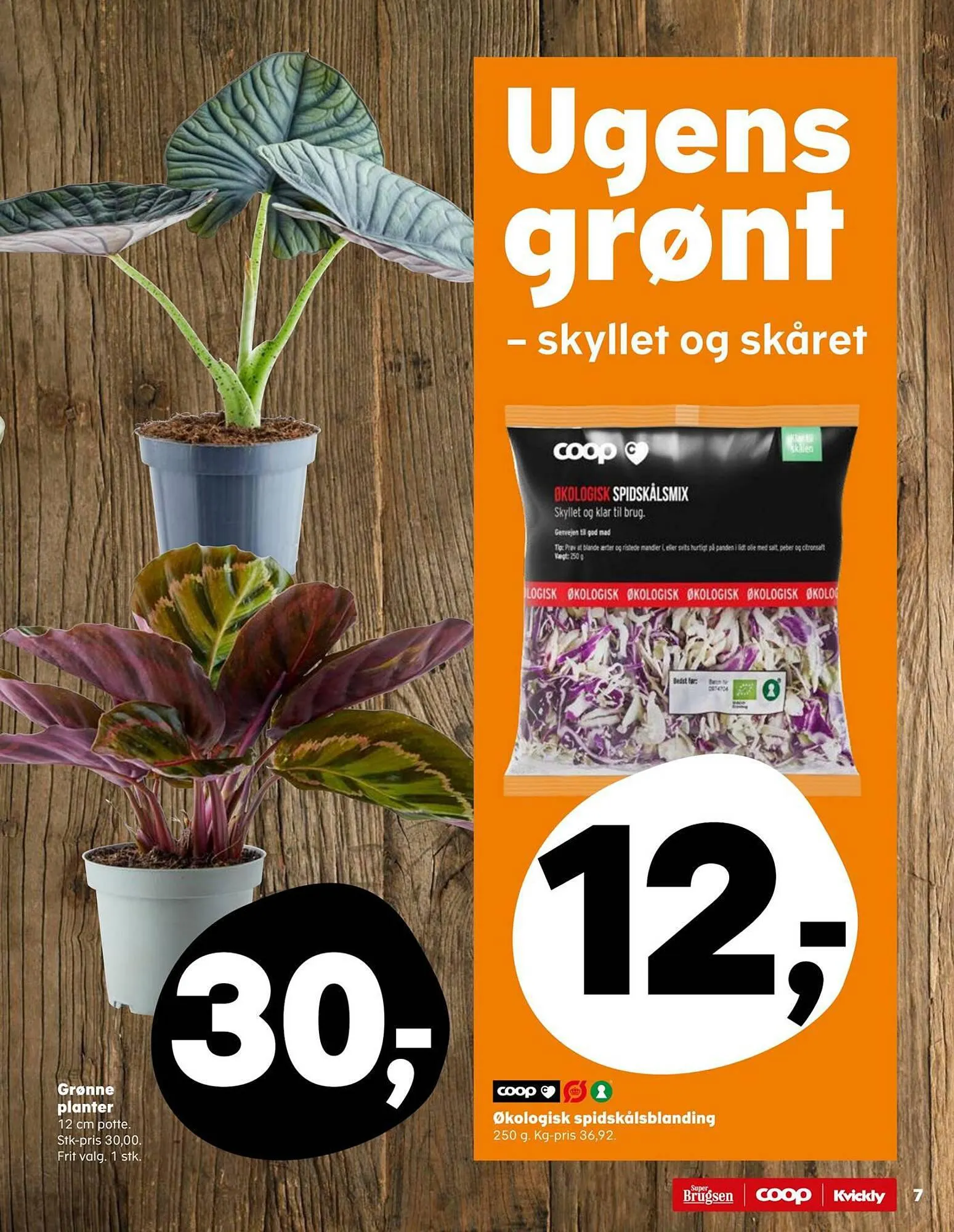 SuperBrugsen tilbudsavis Gyldig indtil 3. august - 17. august 2023 - tilbudsavis side 7