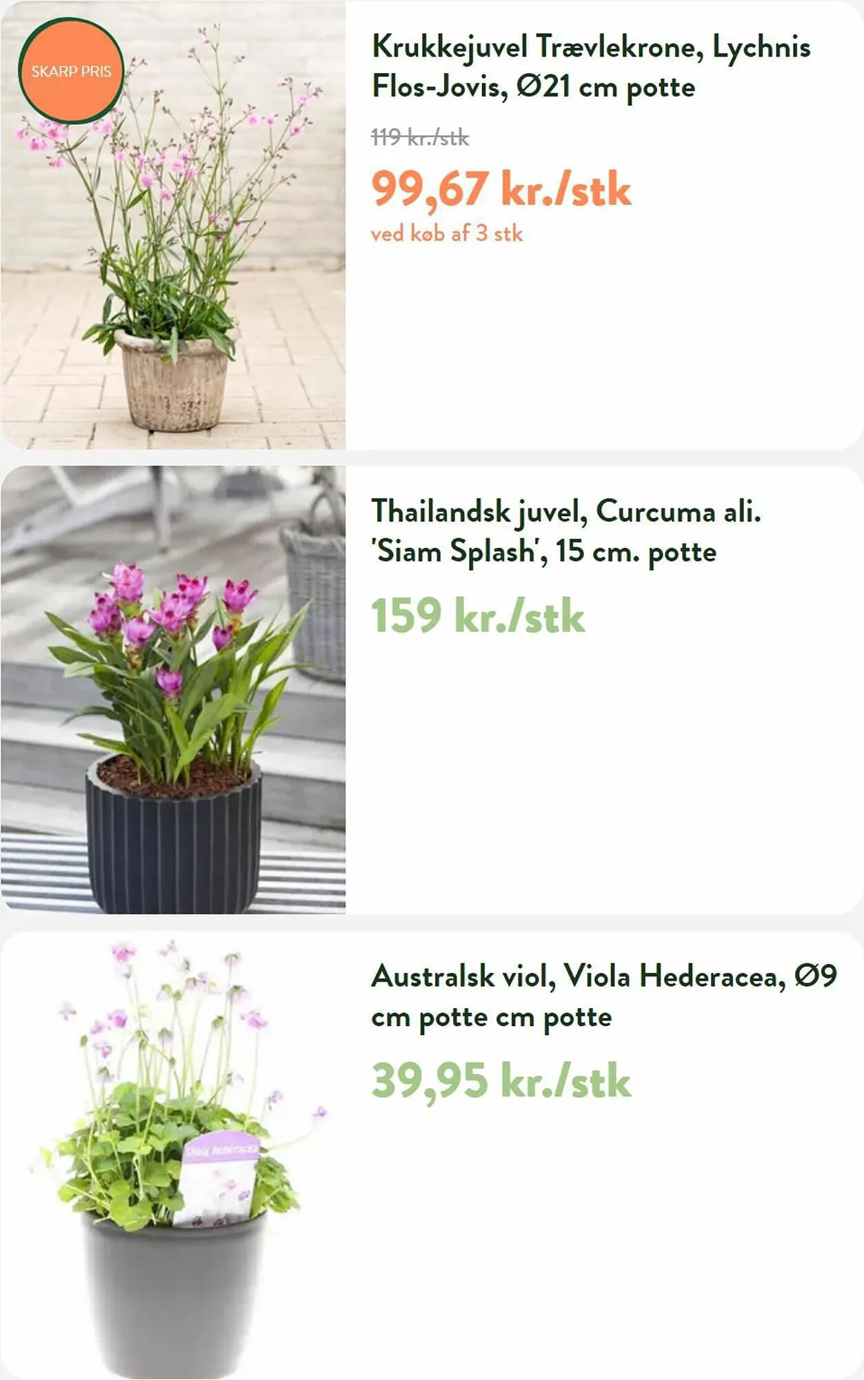 Plantorama tilbudsavis Gyldig indtil 13. juli - 11. august 2023 - tilbudsavis side 3