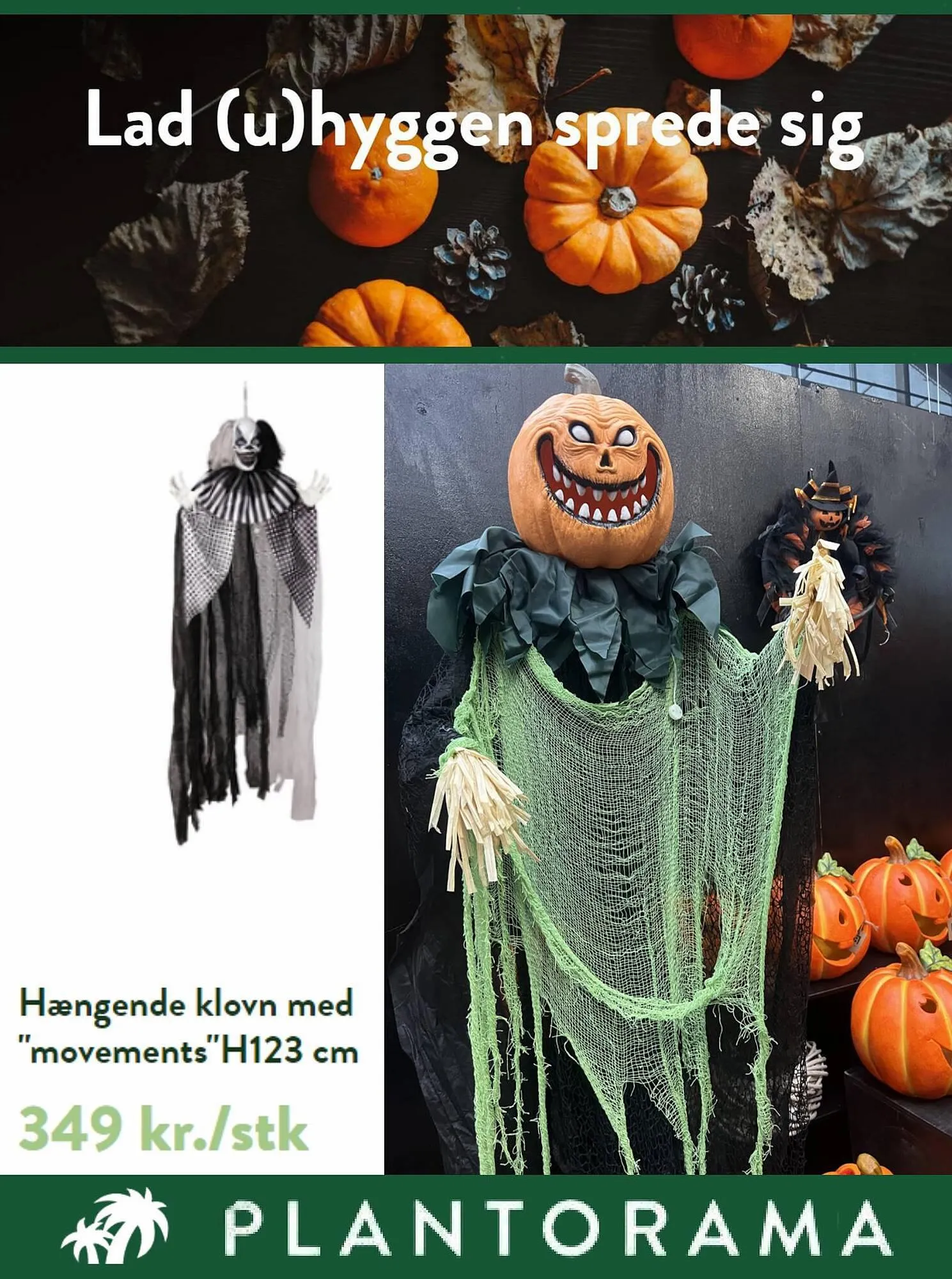 Plantorama tilbudsavis Gyldig indtil 16. oktober - 31. oktober 2023 - tilbudsavis side 1