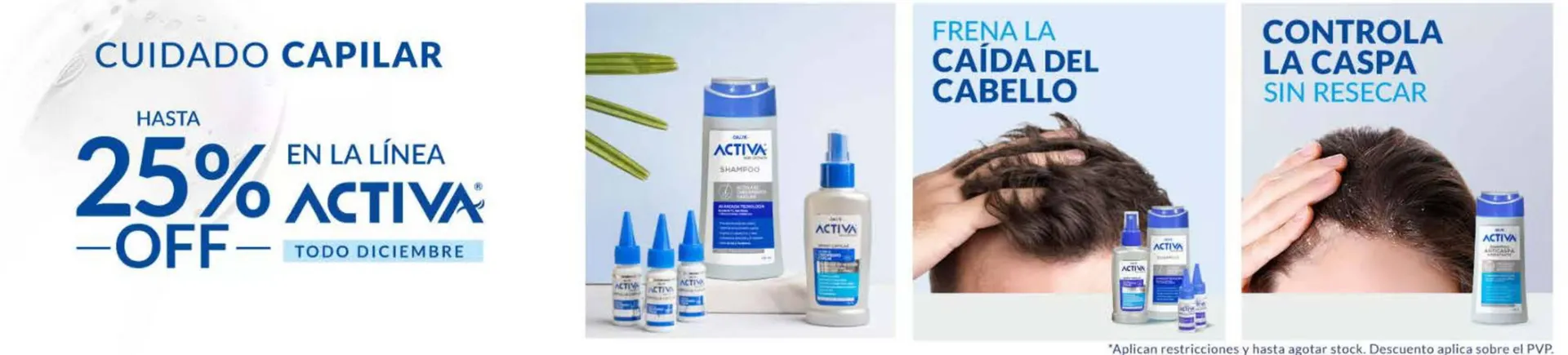 Catalogo de Catálogo Bassa 11 de diciembre al 31 de diciembre 2025 - Pag 3