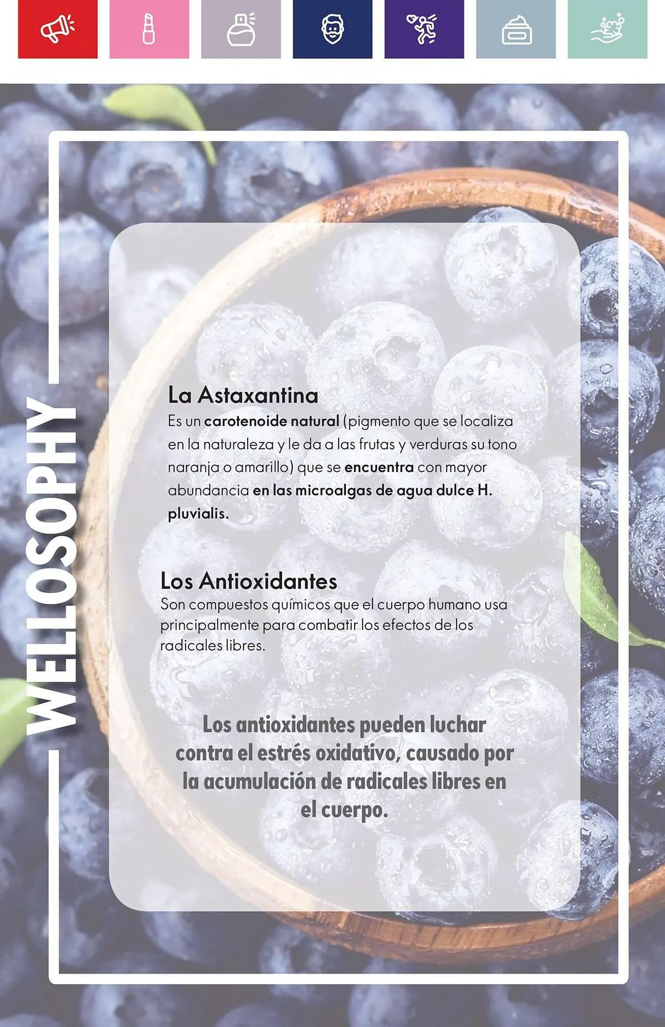 Catalogo de Catálogo Oriflame 12 de febrero al 1 de marzo 2024 - Pag 100