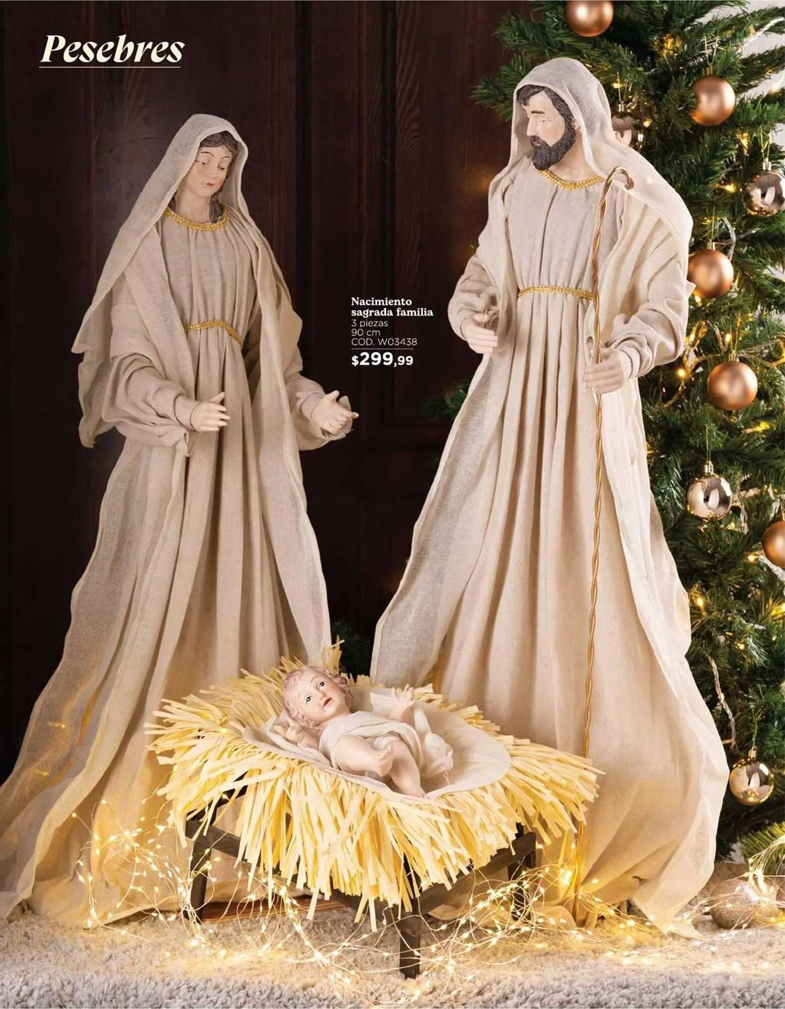 Catalogo de Catálogo Pycca 11 de noviembre al 31 de diciembre 2024 - Pag 22