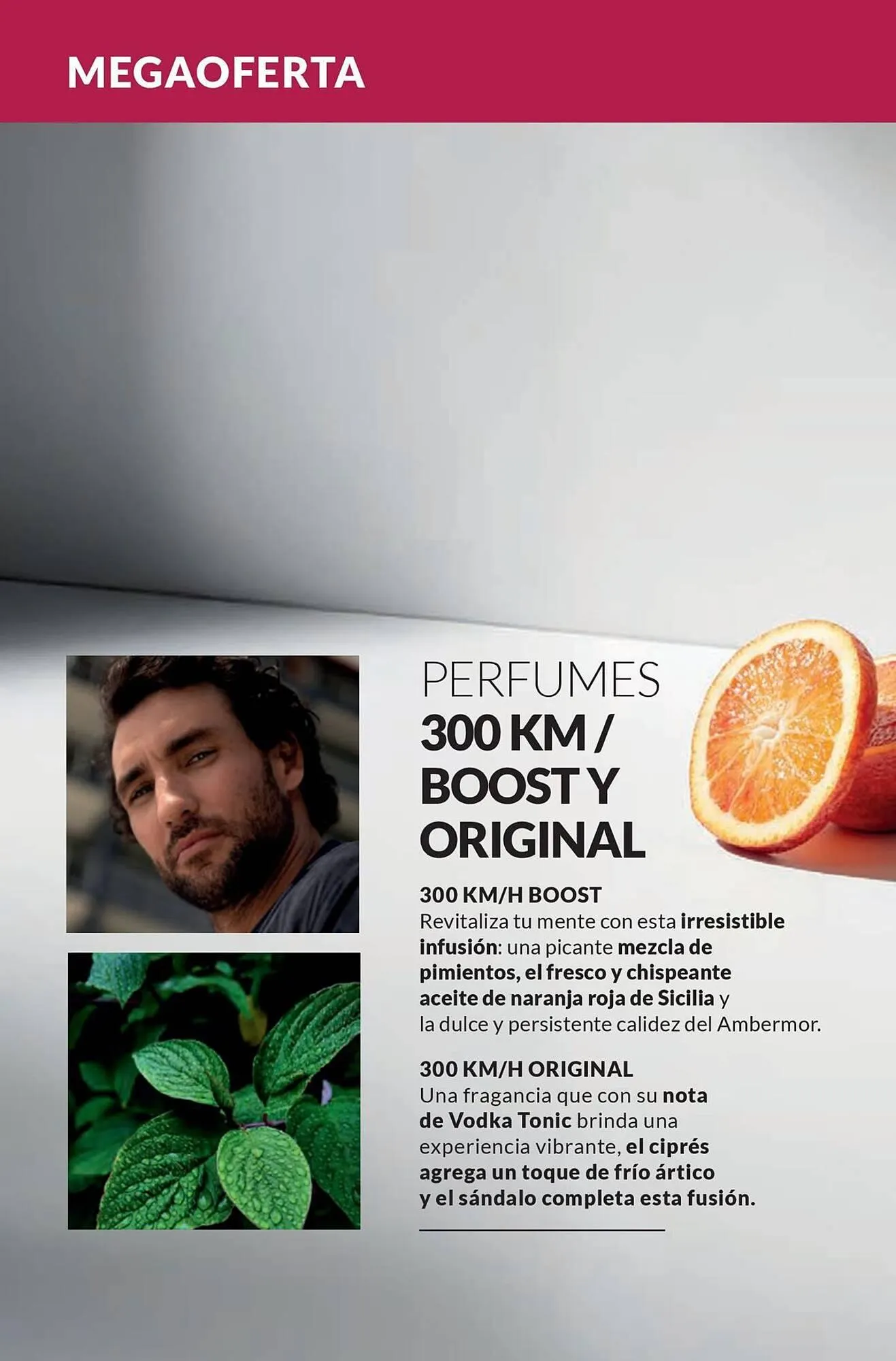 Catalogo de Catálogo AVON 4 de julio al 11 de noviembre 2025 - Pag 77
