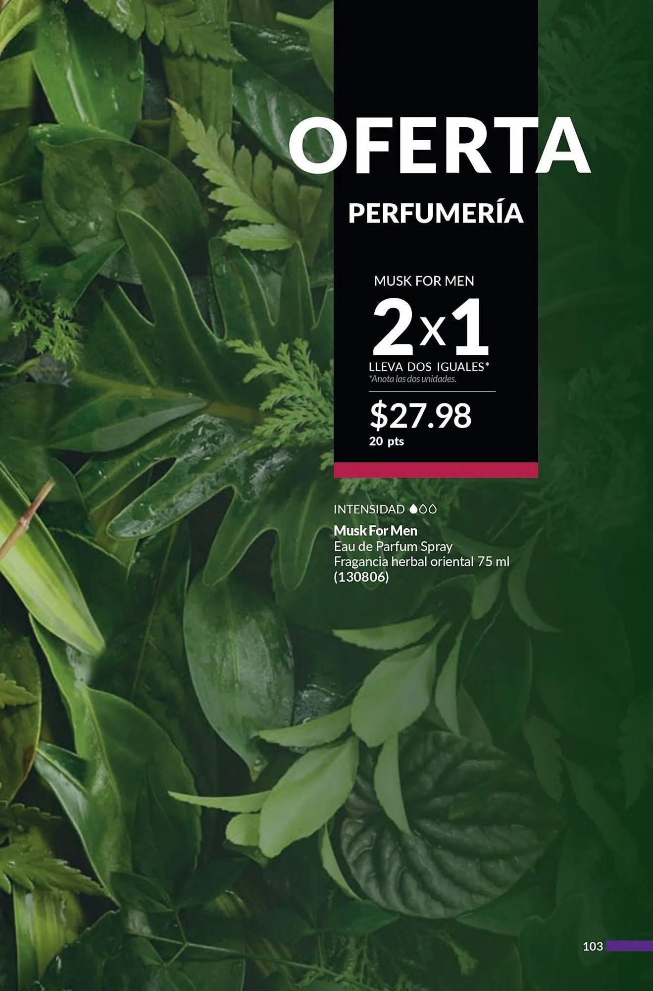 Catalogo de Catálogo AVON 20 de diciembre al 8 de febrero 2025 - Pag 103