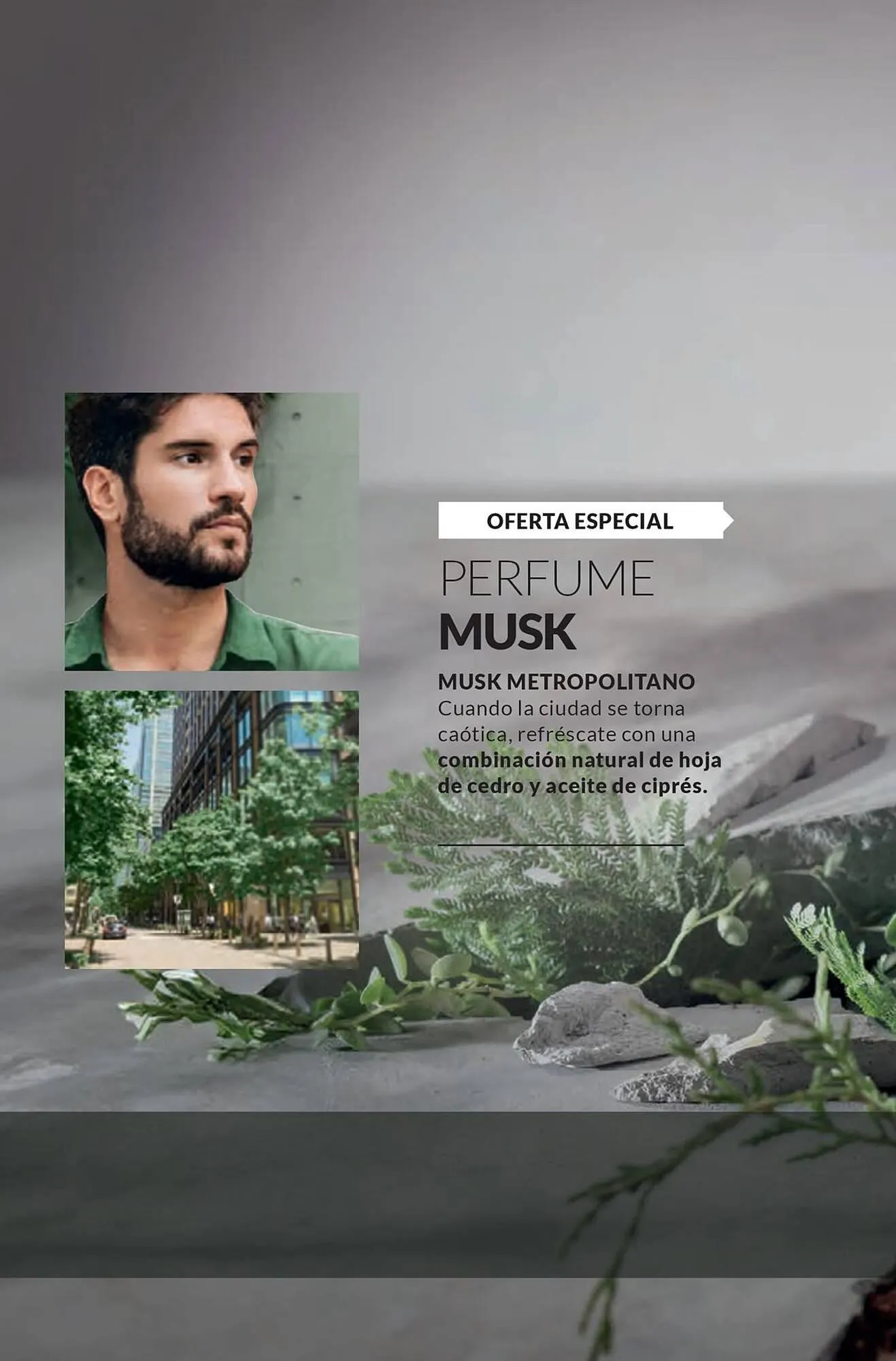 Catalogo de Catálogo AVON 3 de marzo al 31 de marzo 2025 - Pag 90