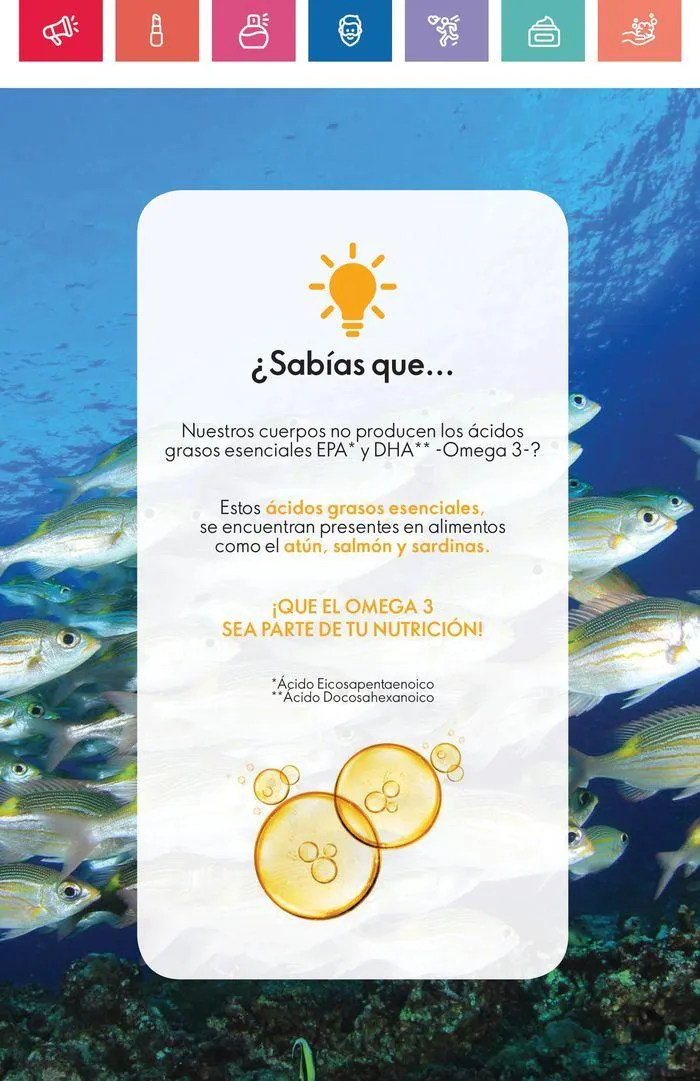 Catalogo de Revela tu auténtica belleza  19 de agosto al 6 de septiembre 2024 - Pag 104