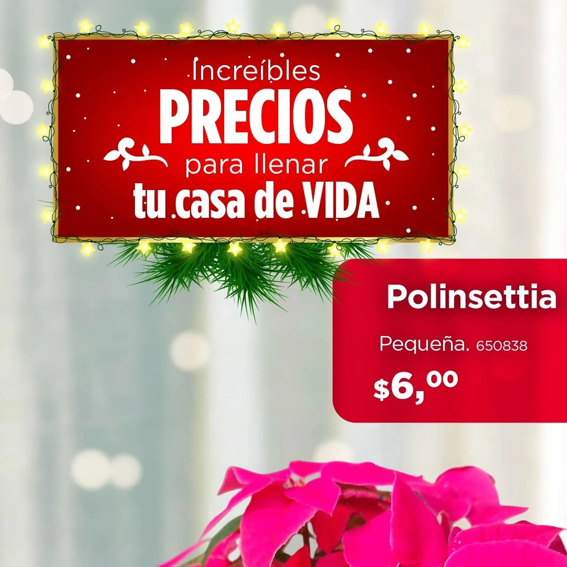 Catalogo de Catálogo Kywi 31 de octubre al 5 de noviembre 2024 - Pag 1