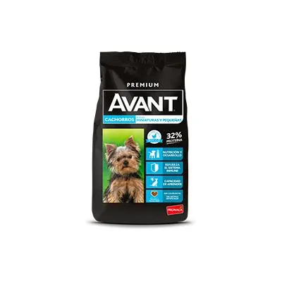 AVANT PERROS CACHORROS RAZAS PEQUEÑAS