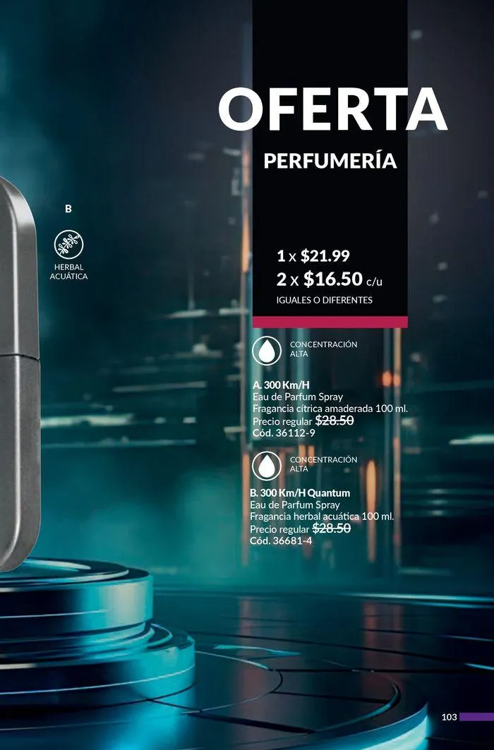 Catalogo de Inspiración para mi lista de deseos C/14 26 de agosto al 16 de septiembre 2024 - Pag 103