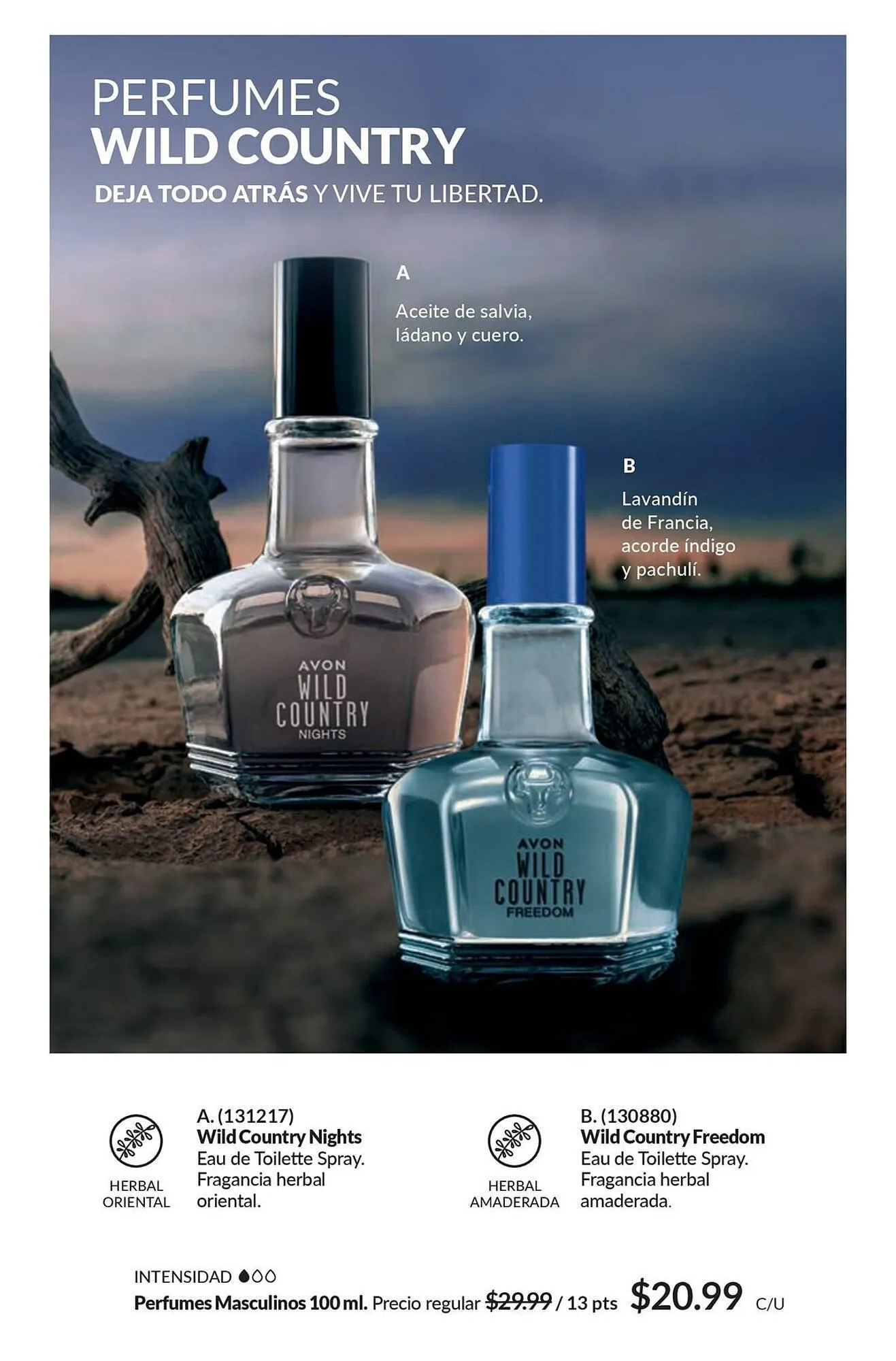 Catalogo de Catálogo AVON 19 de noviembre al 25 de diciembre 2025 - Pag 101