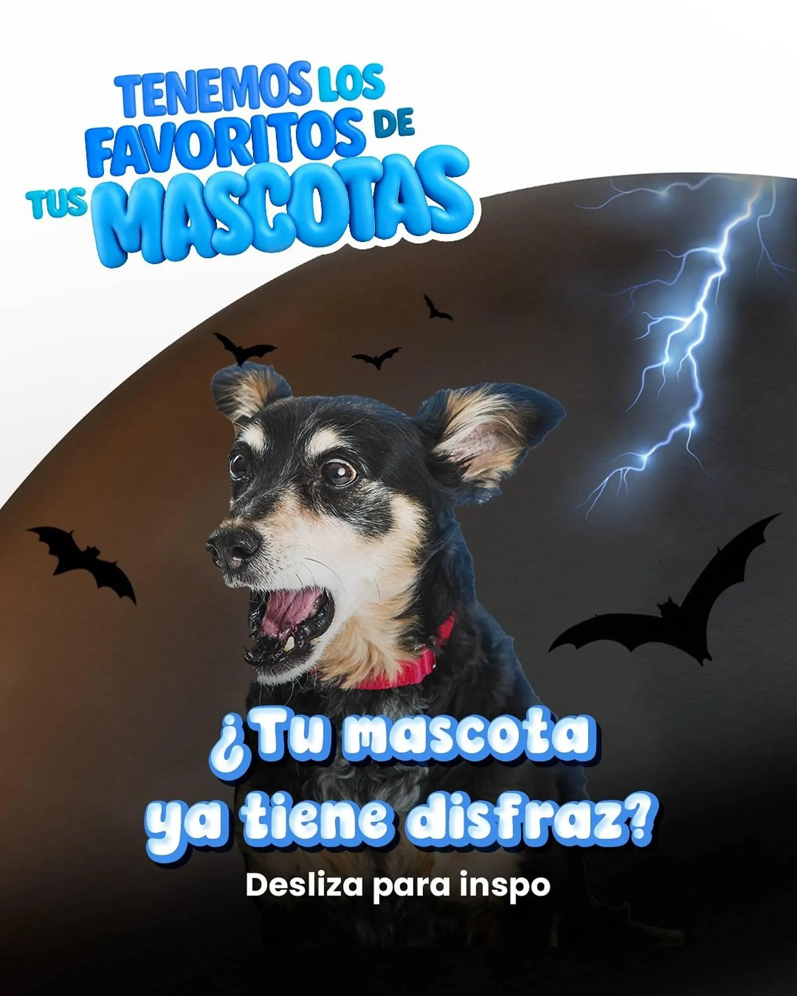 Catálogo Ferrisariato - 1