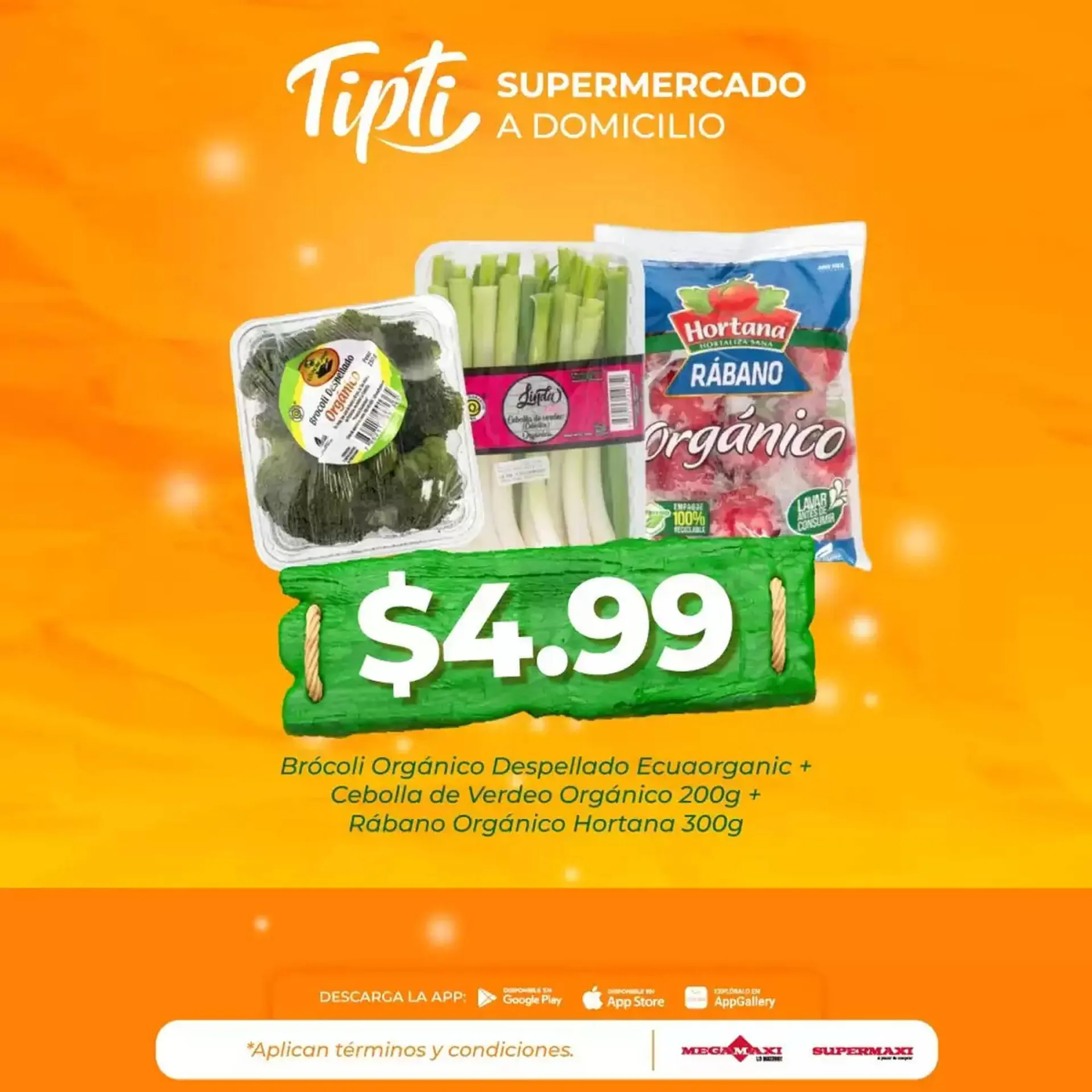 Catalogo de Catálogo Megamaxi 30 de septiembre al 29 de diciembre 2024 - Pag 1