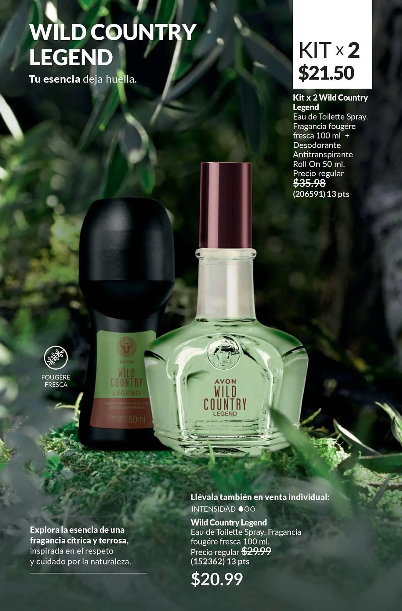 Catalogo de Catálogo AVON 18 de julio al 12 de diciembre 2025 - Pag 93