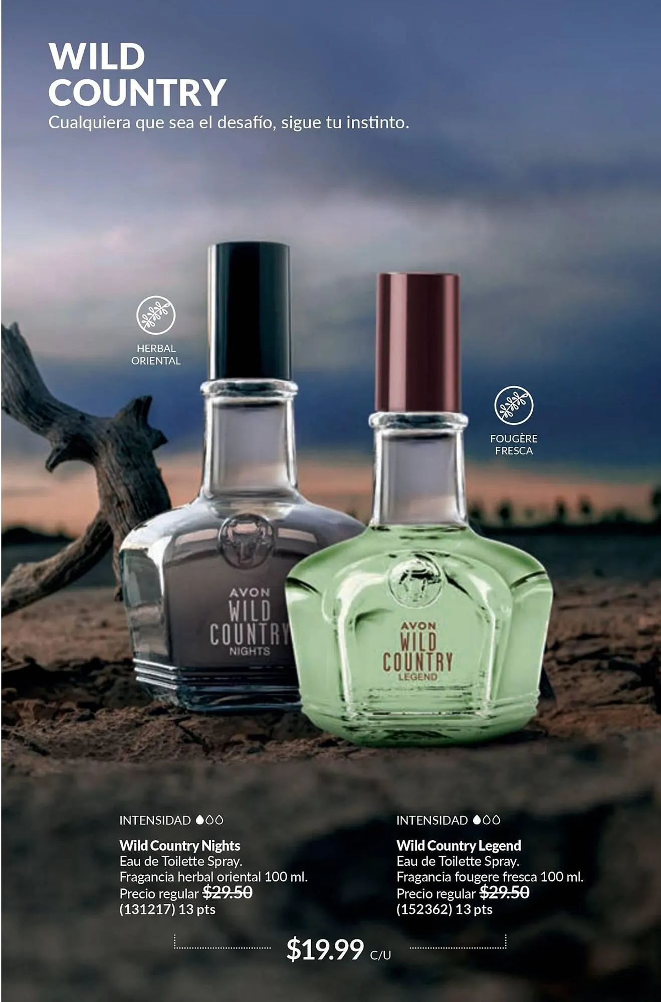 Catalogo de Catálogo AVON 18 de febrero al 31 de marzo 2025 - Pag 101