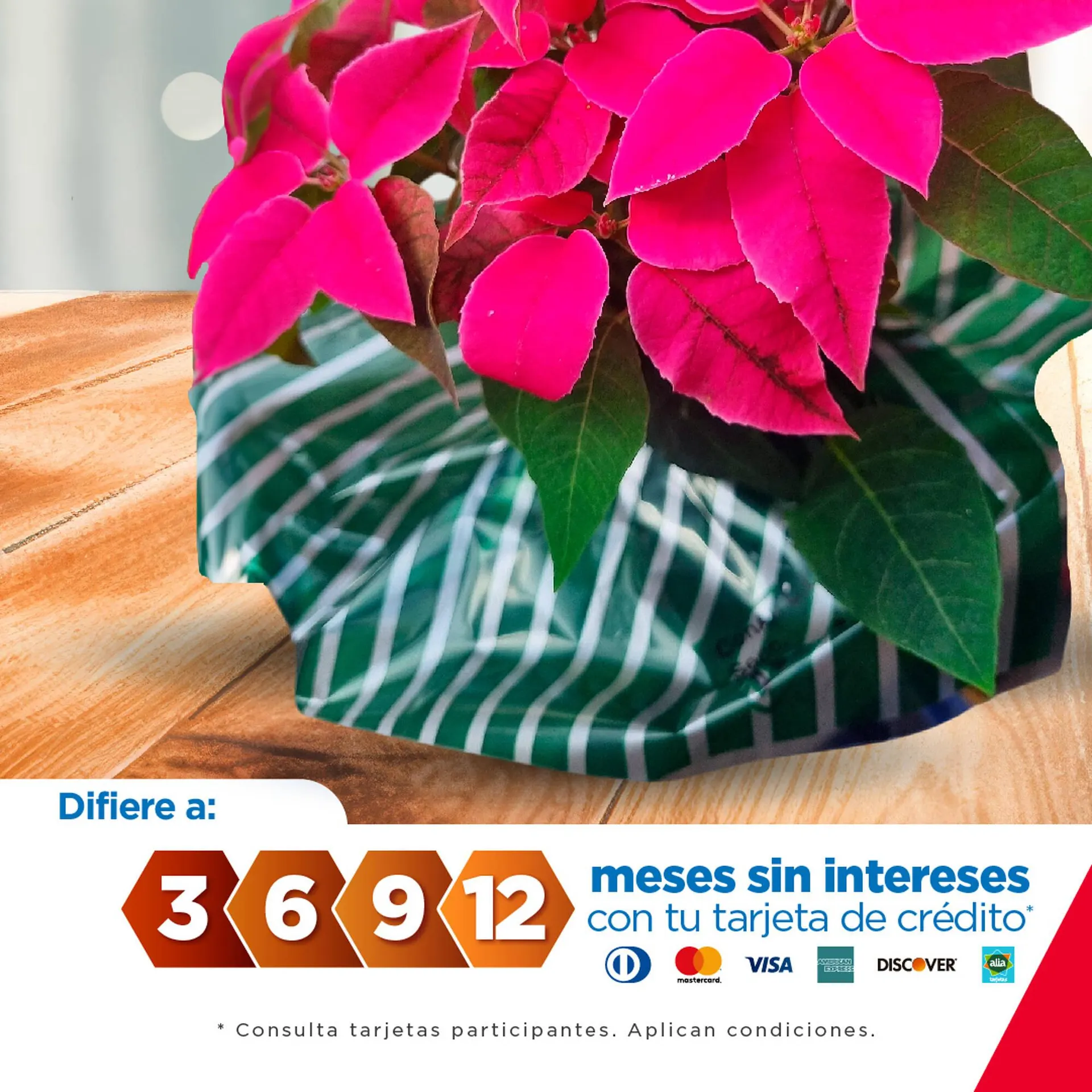 Catalogo de Catálogo Kywi 31 de octubre al 5 de noviembre 2024 - Pag 3