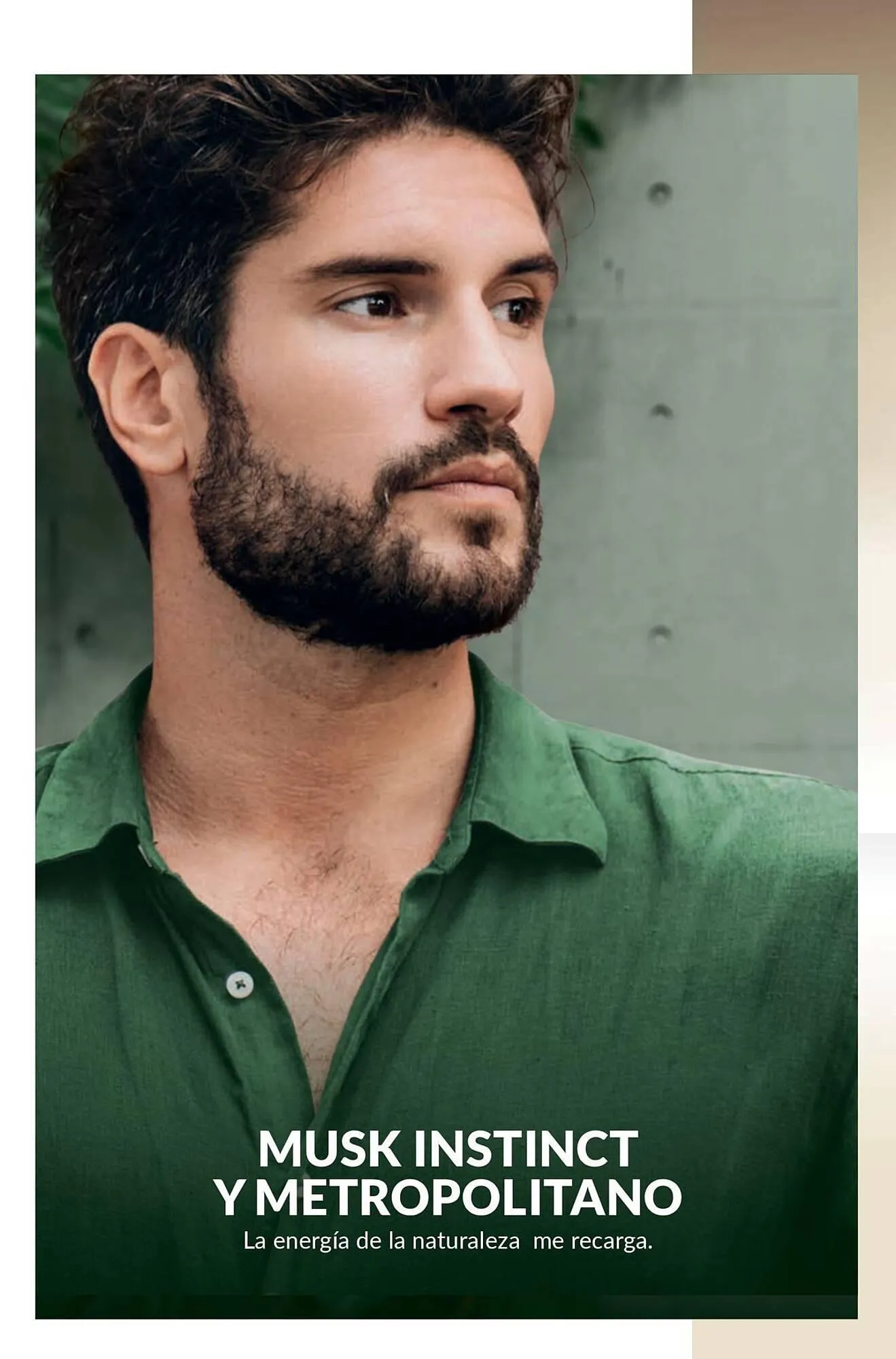 Catalogo de Catálogo AVON 19 de diciembre al 22 de enero 2025 - Pag 94