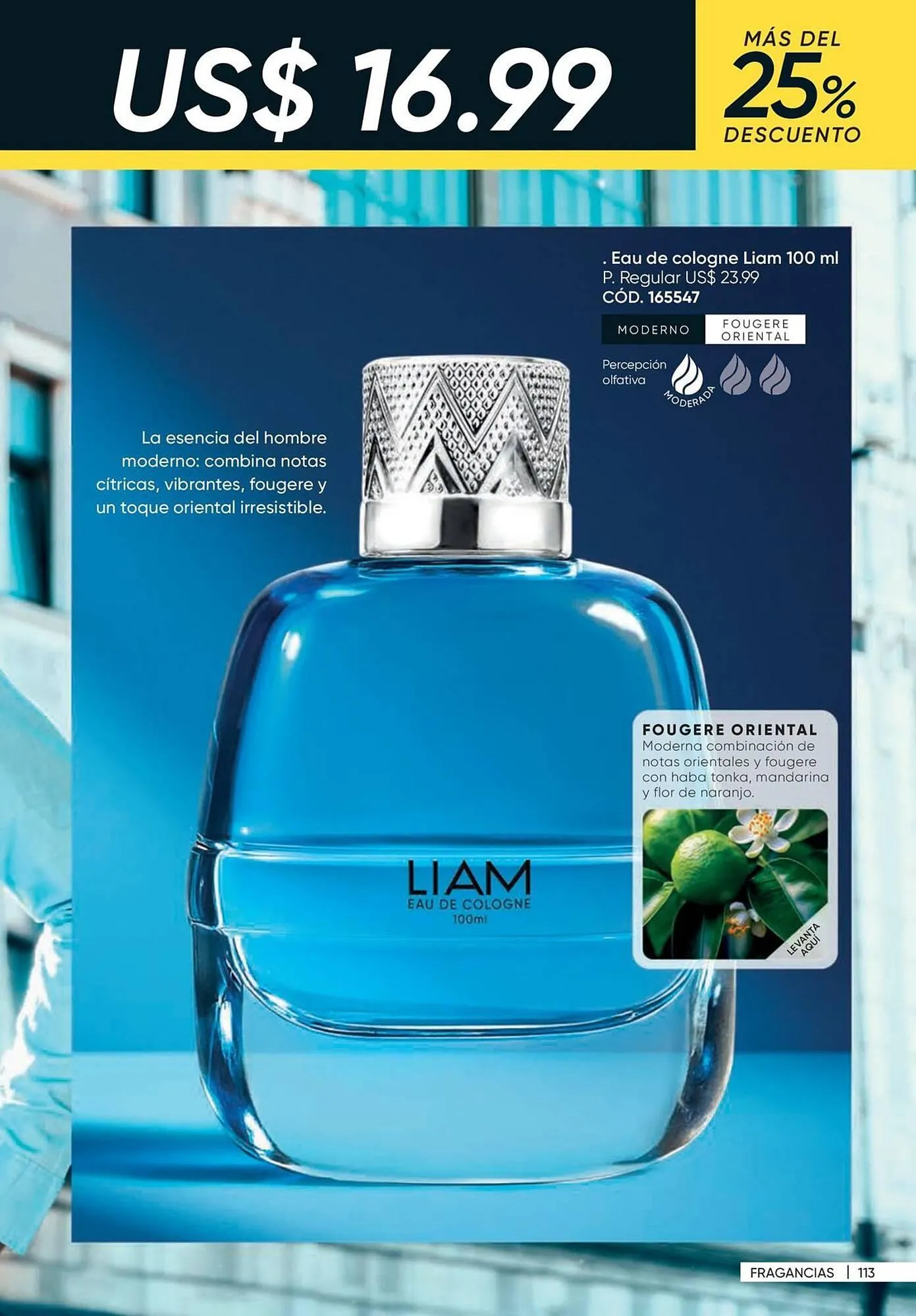 Catalogo de Catálogo Azzorti 26 de noviembre al 31 de diciembre 2026 - Pag 115