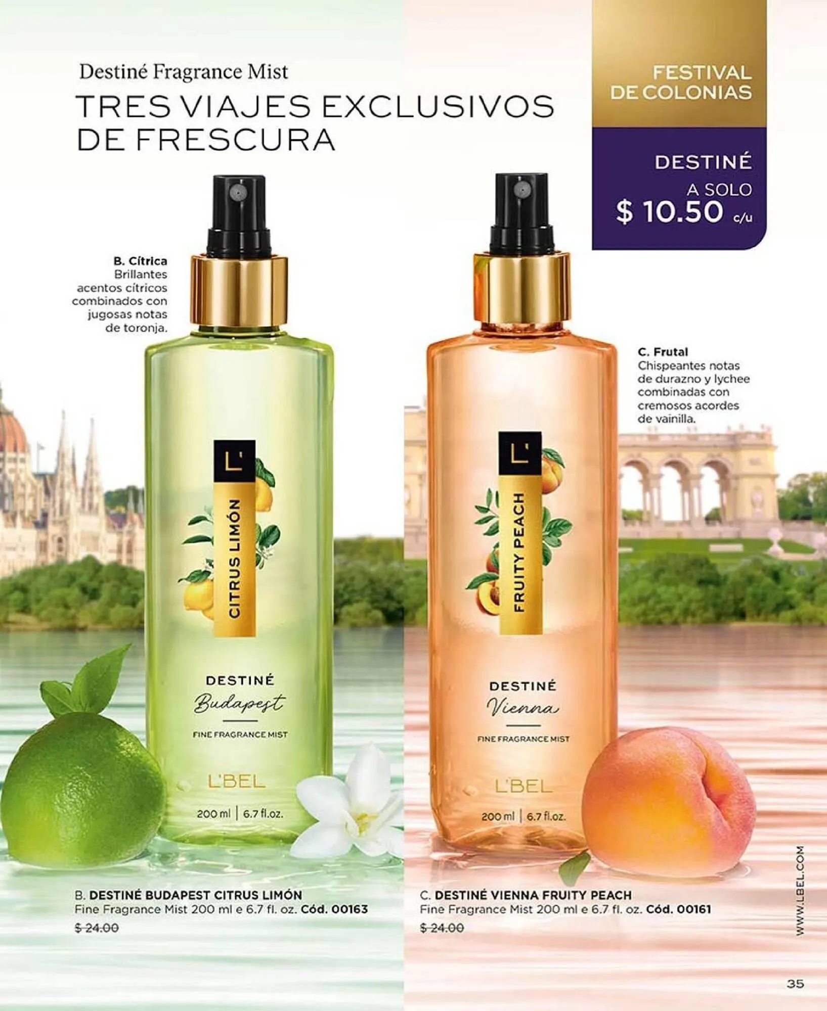 Catalogo de Catálogo L'bel 21 de enero al 28 de febrero 2025 - Pag 35