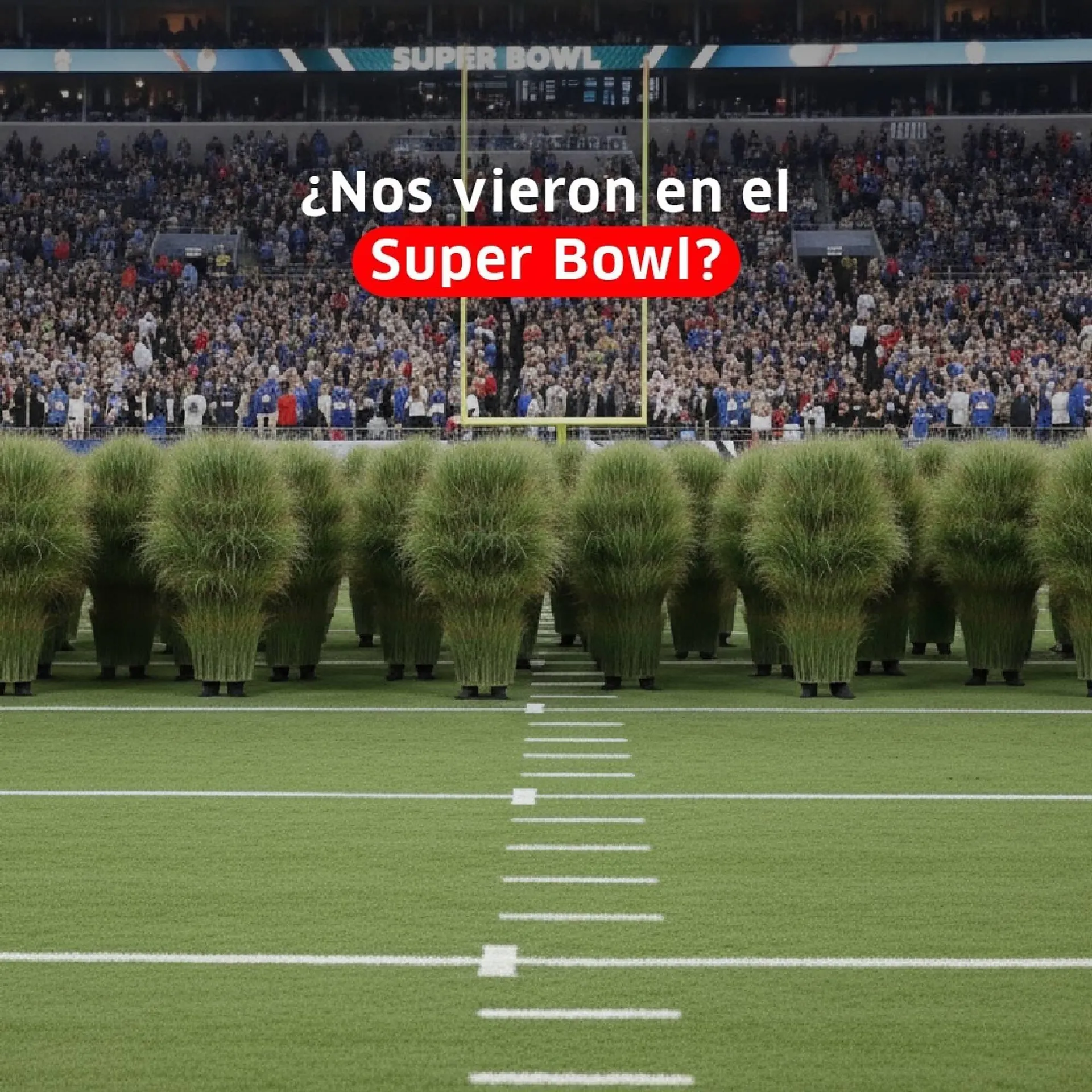 Catálogo Farmacias Económicas - 1