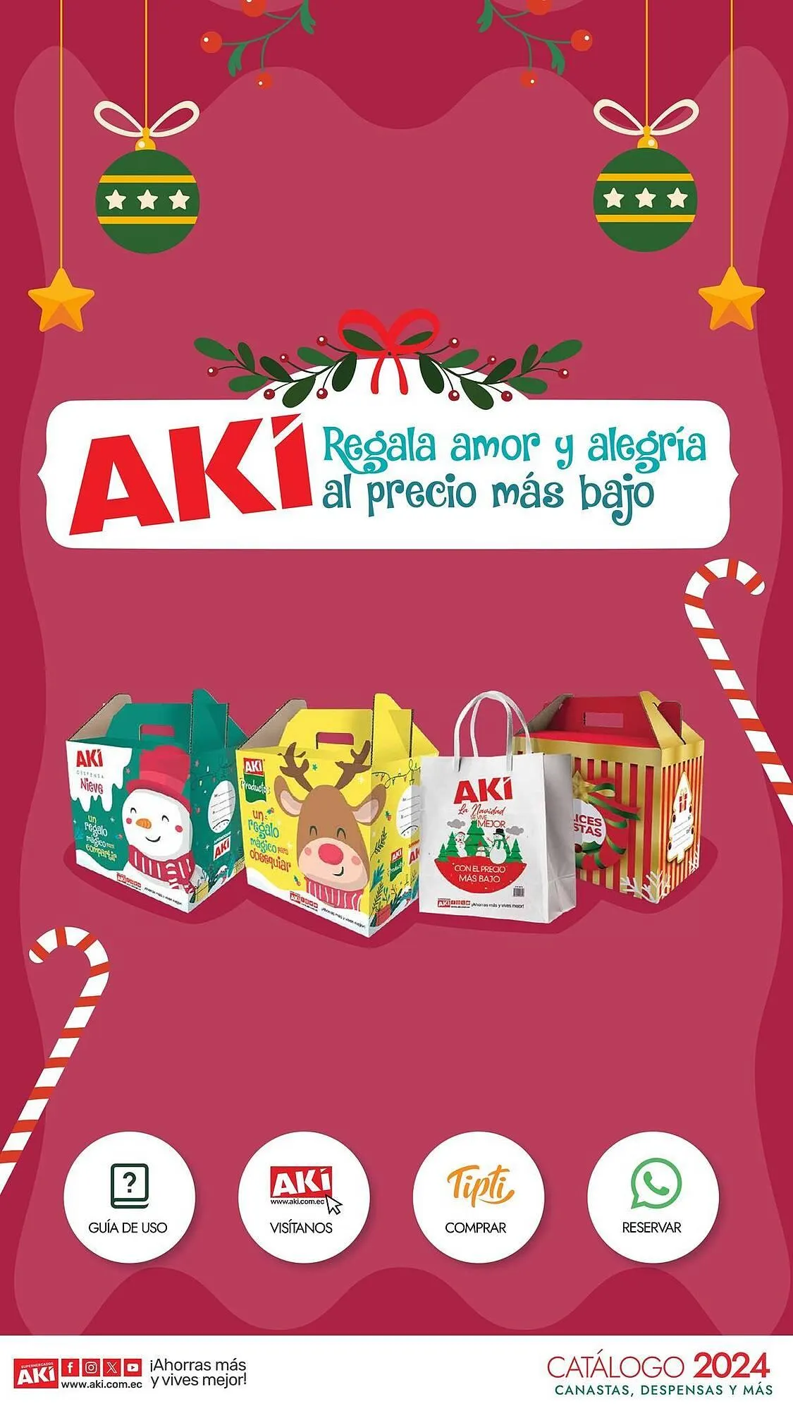 Catalogo de Catálogo Akí 25 de octubre al 31 de diciembre 2024 - Pag 1