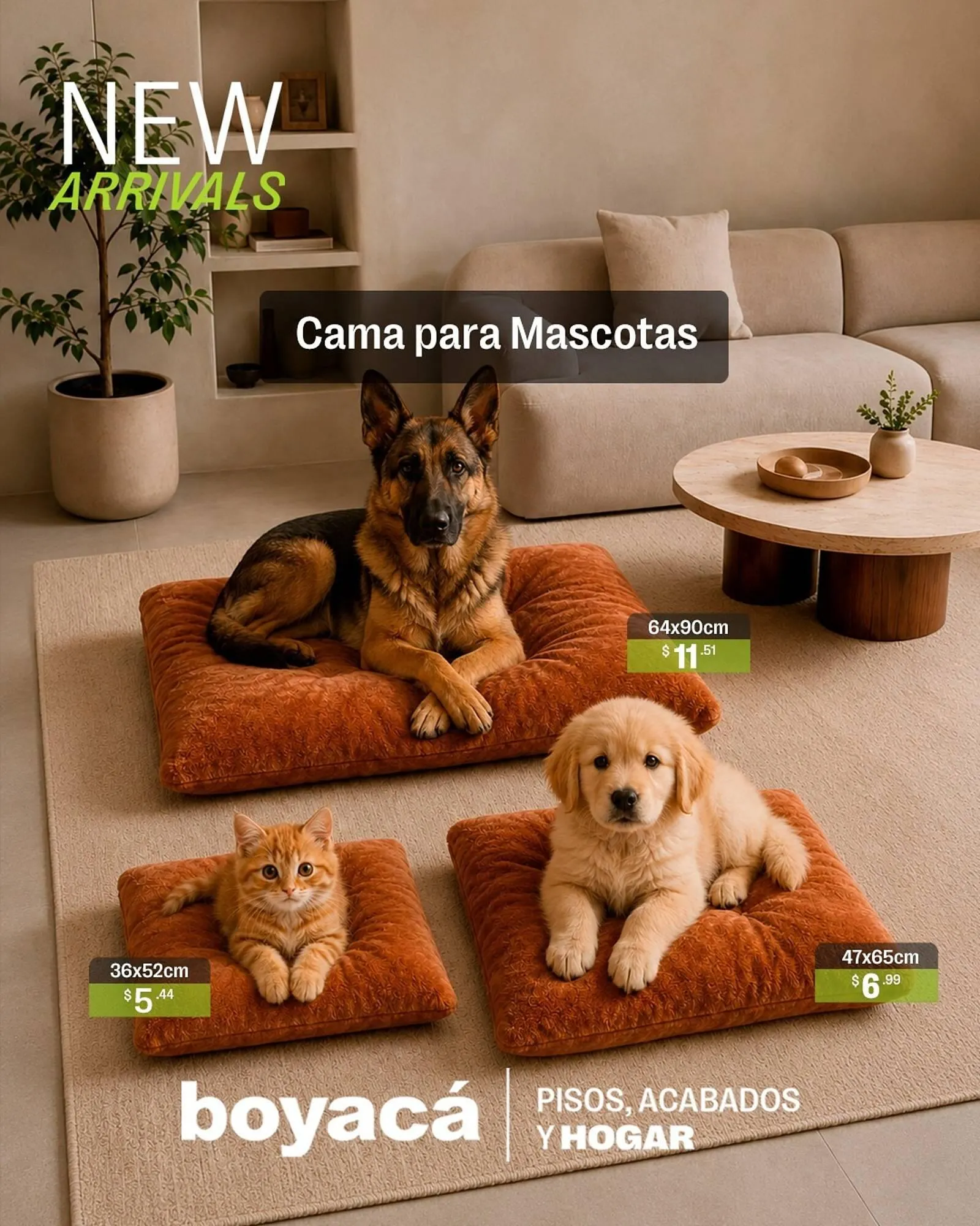 Catalogo de Catálogo Boyacá 8 de mayo al 14 de mayo 2026 - Pag 1