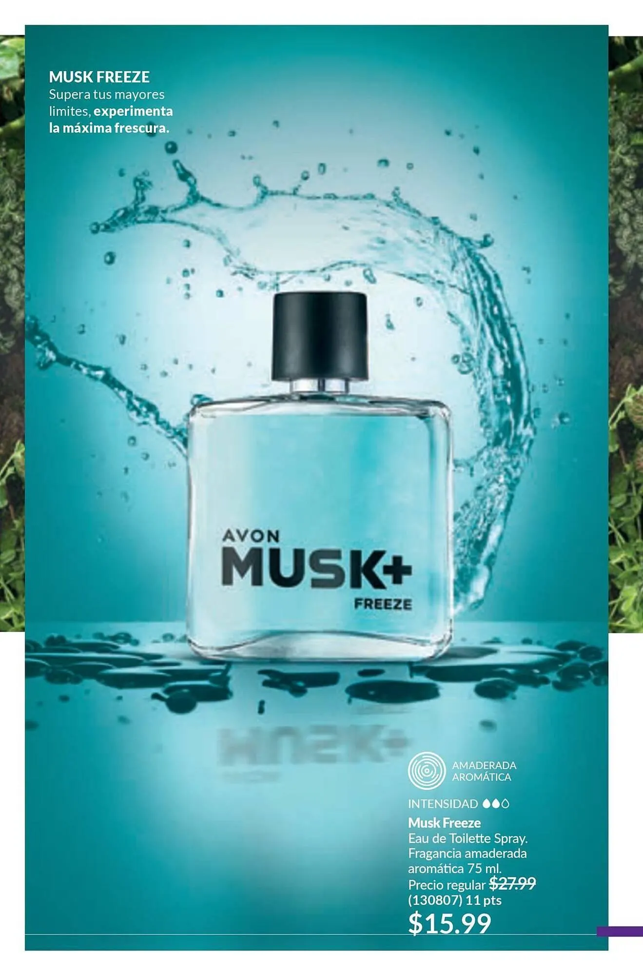 Catalogo de Catálogo AVON 9 de febrero al 2 de marzo 2025 - Pag 93