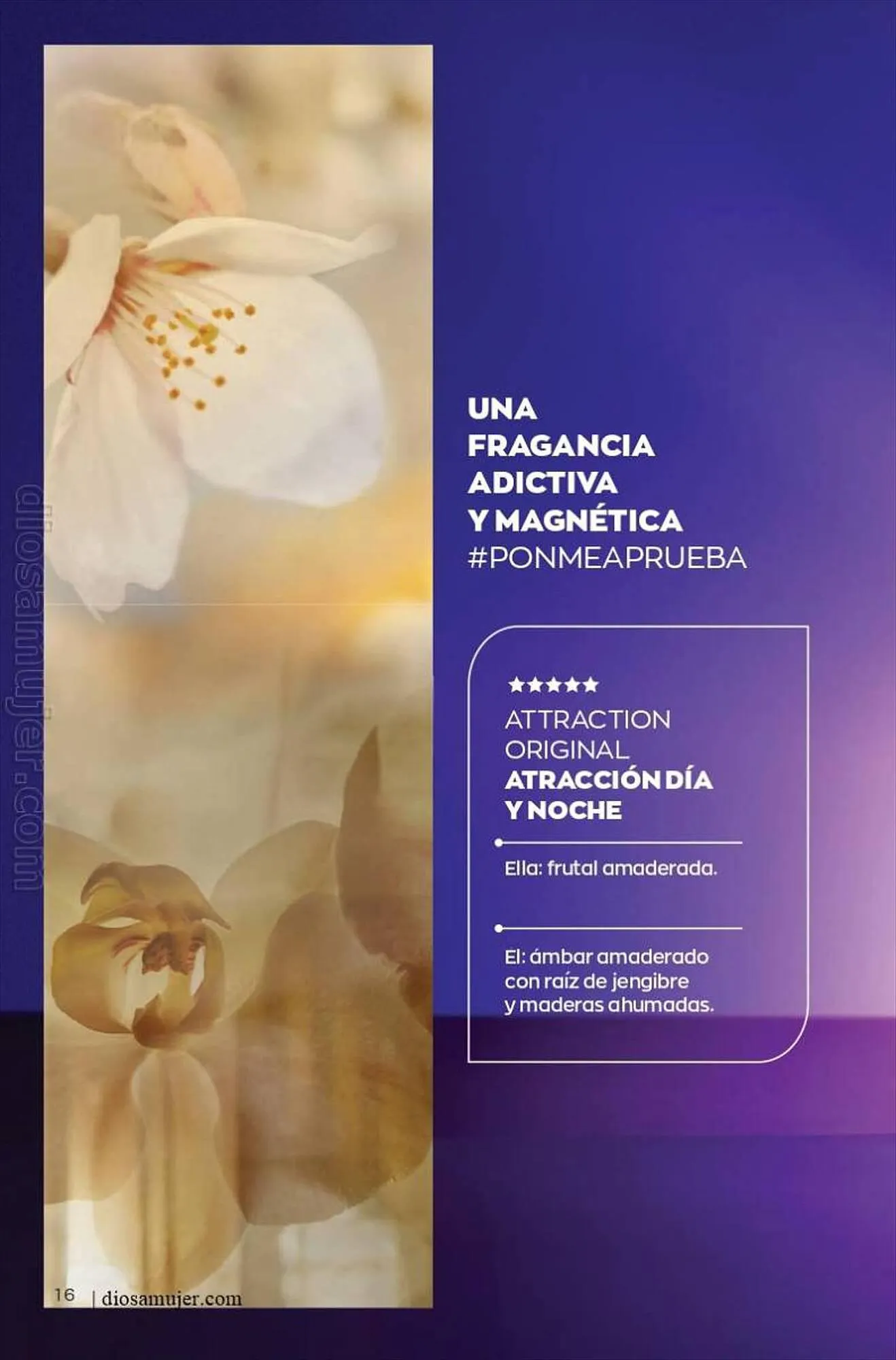 Catalogo de Catálogo AVON 31 de agosto al 11 de septiembre 2023 - Pag 16