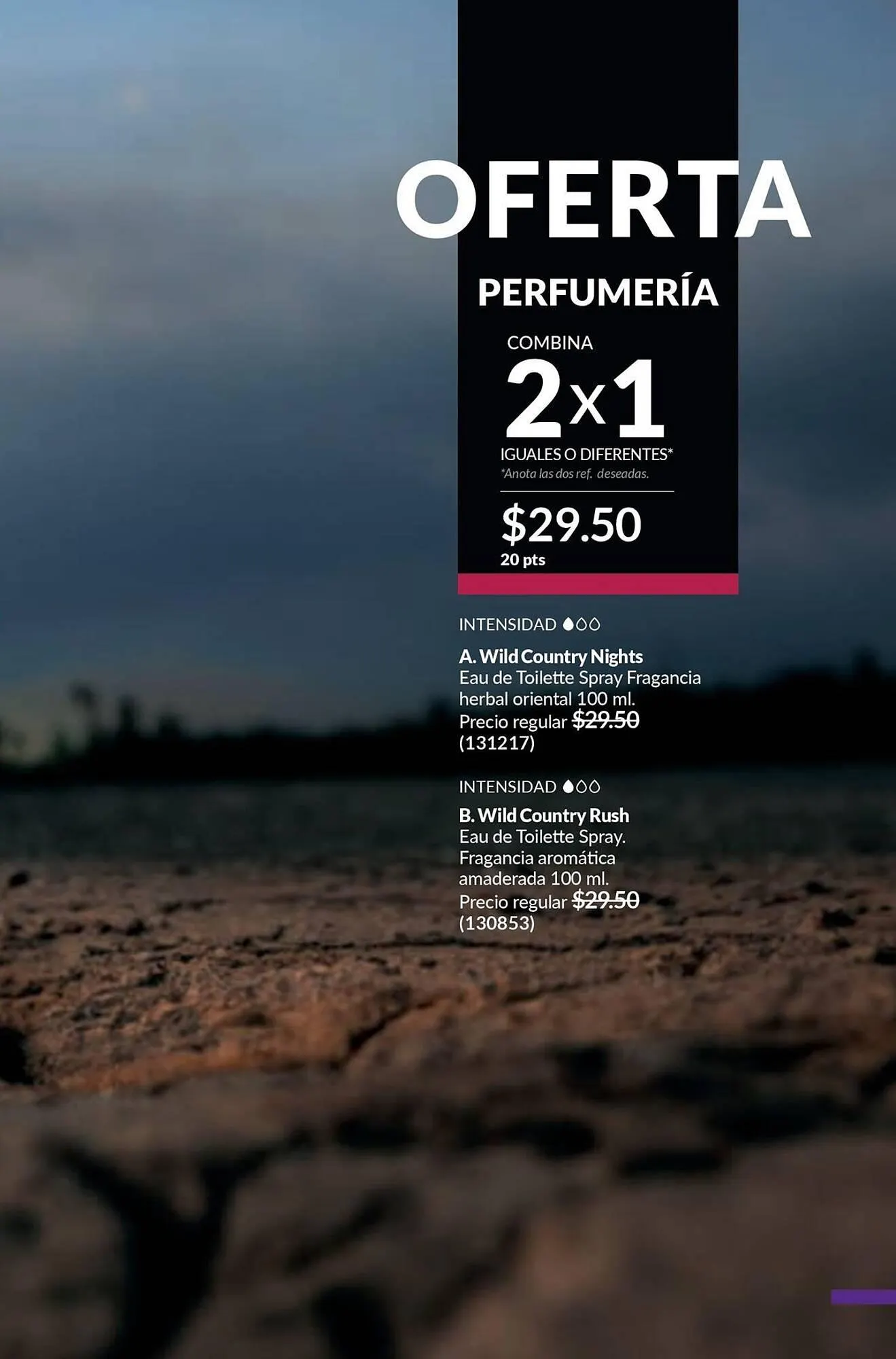 Catalogo de Catálogo AVON 9 de febrero al 2 de marzo 2025 - Pag 91