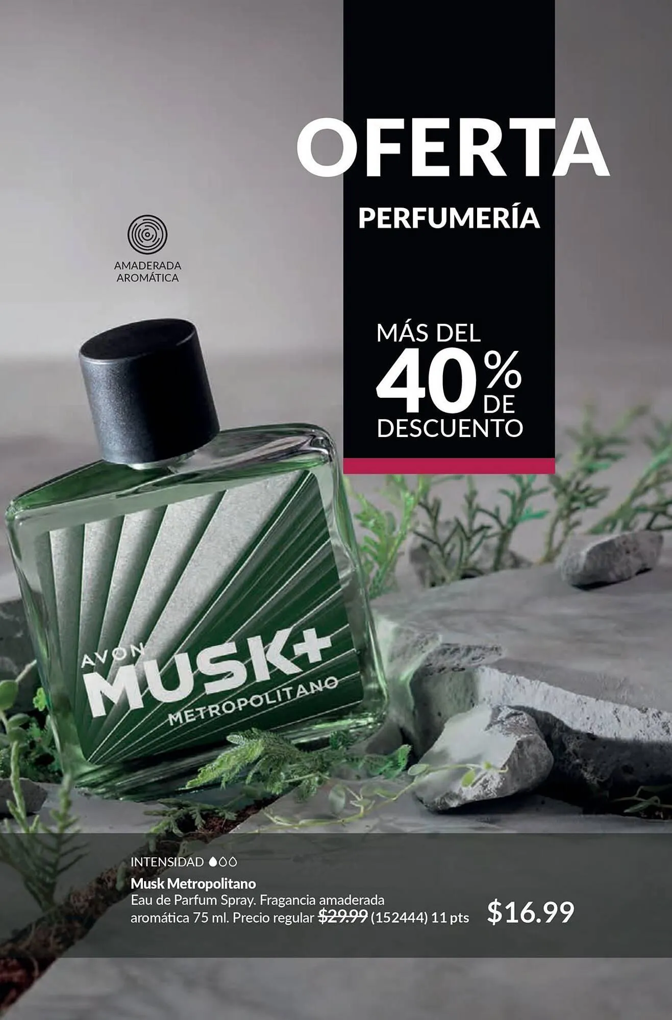 Catalogo de Catálogo AVON 3 de marzo al 31 de marzo 2025 - Pag 91