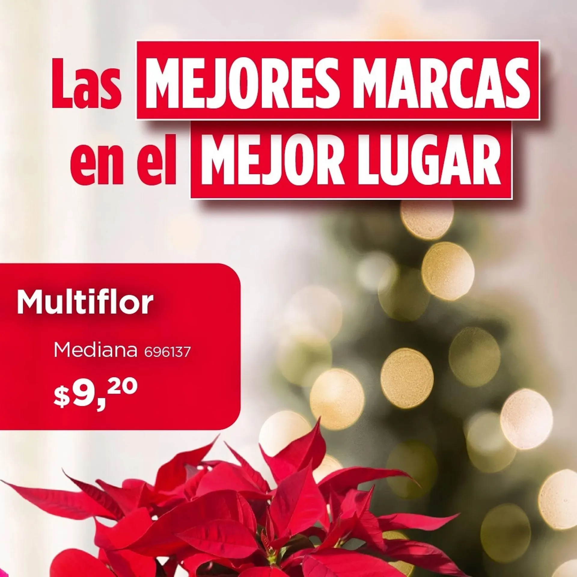 Catalogo de Catálogo Kywi 31 de octubre al 5 de noviembre 2024 - Pag 2