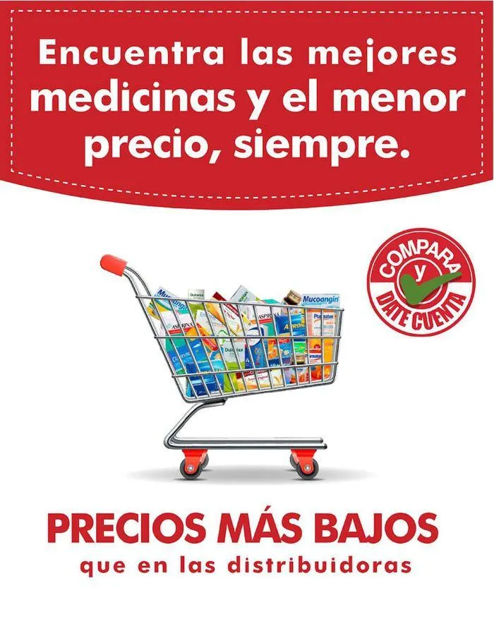 Catalogo de Precios más bajos 17 de enero al 31 de diciembre 2024 - Pag 1