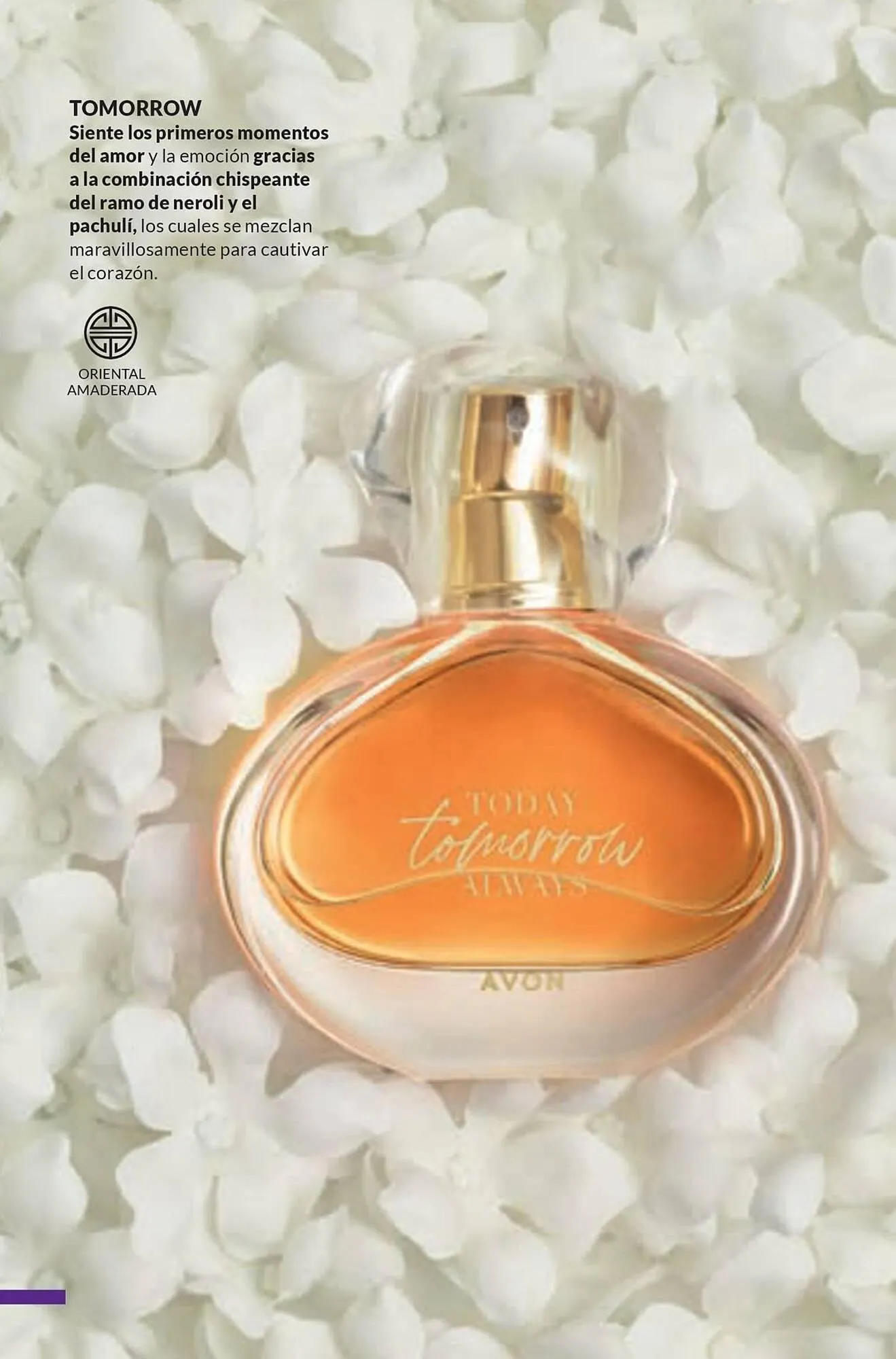 Catalogo de Catálogo AVON 9 de febrero al 2 de marzo 2025 - Pag 64