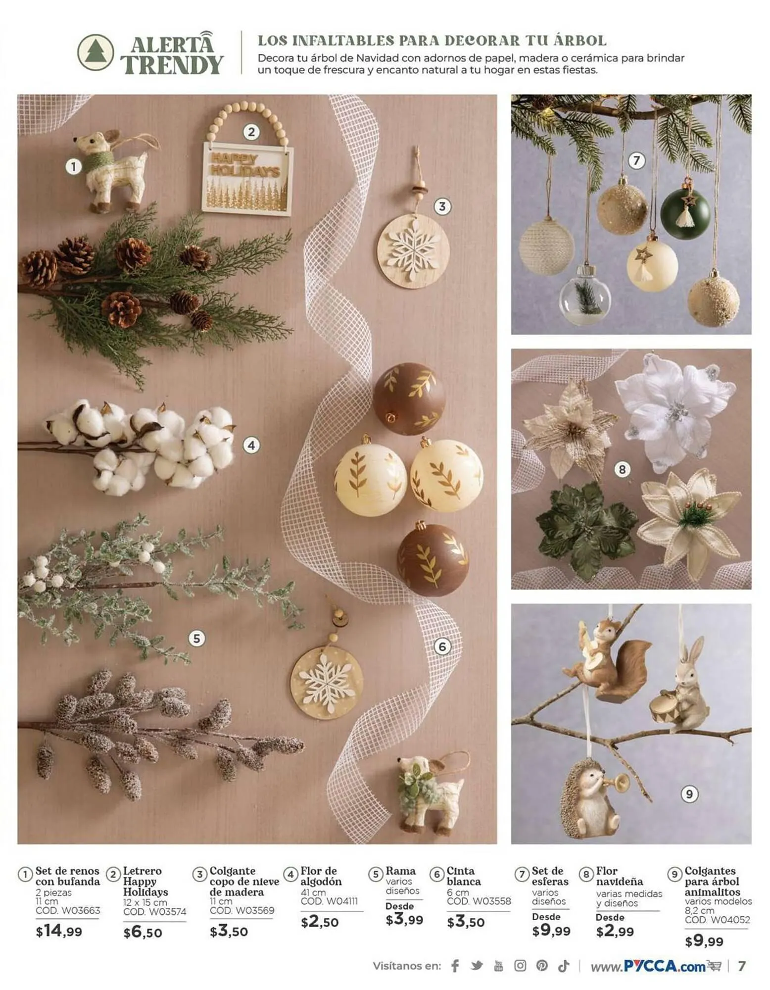 Catalogo de Catálogo Pycca 18 de octubre al 21 de noviembre 2023 - Pag 9