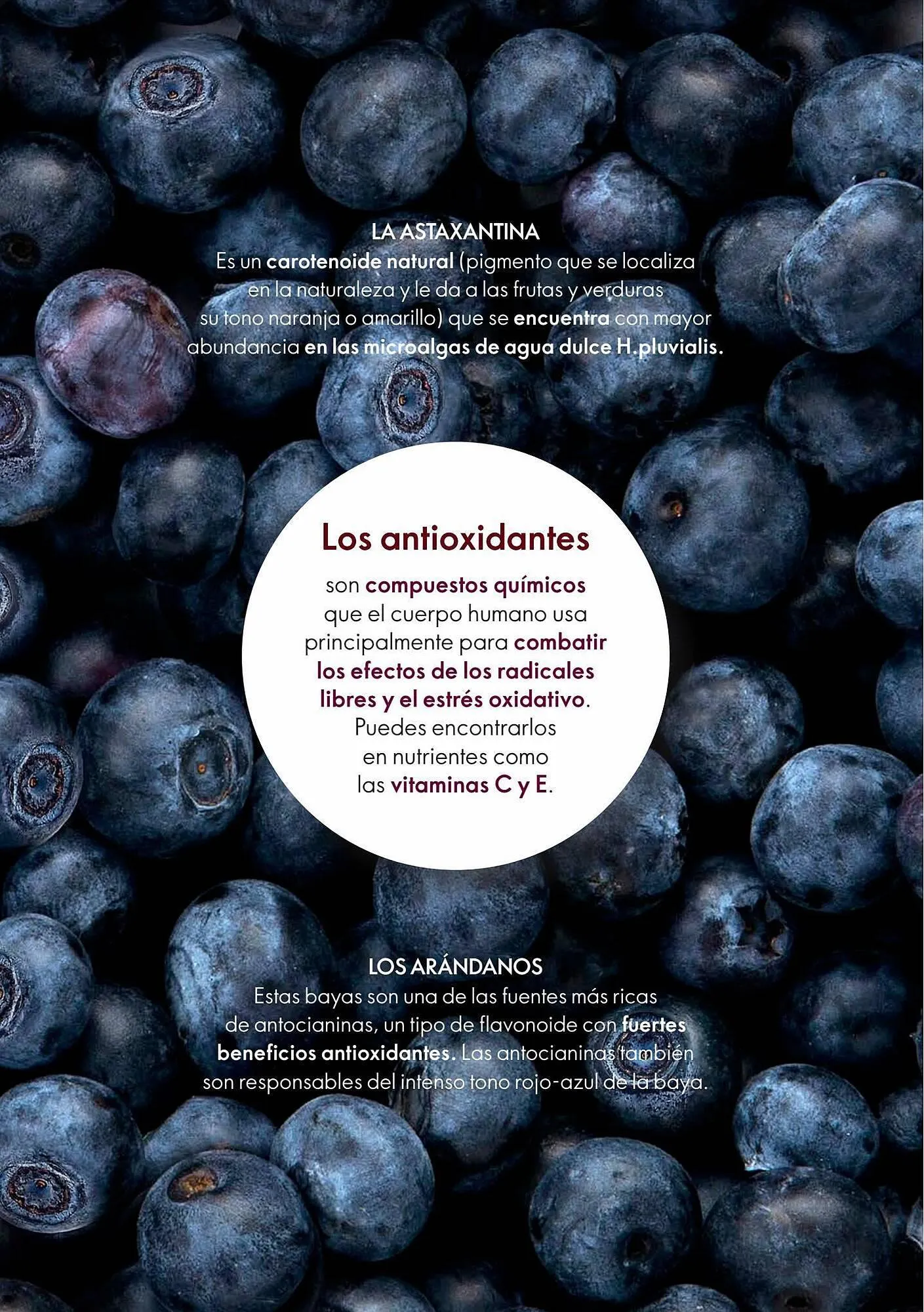 Catalogo de Catálogo Oriflame 7 de agosto al 25 de agosto 2023 - Pag 112