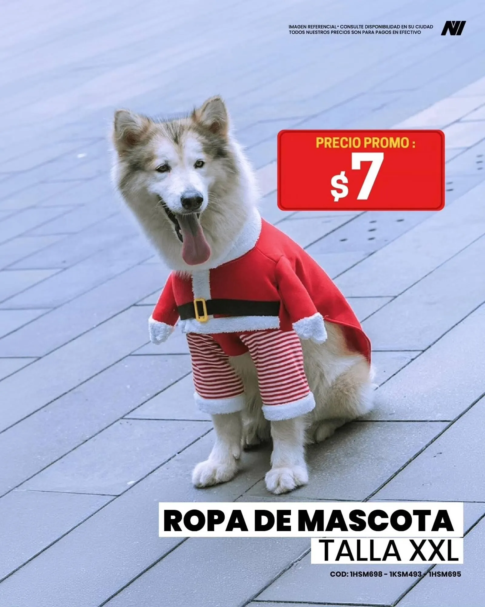 Catalogo de Catálogo Novicompu 20 de febrero al 28 de febrero 2026 - Pag 4