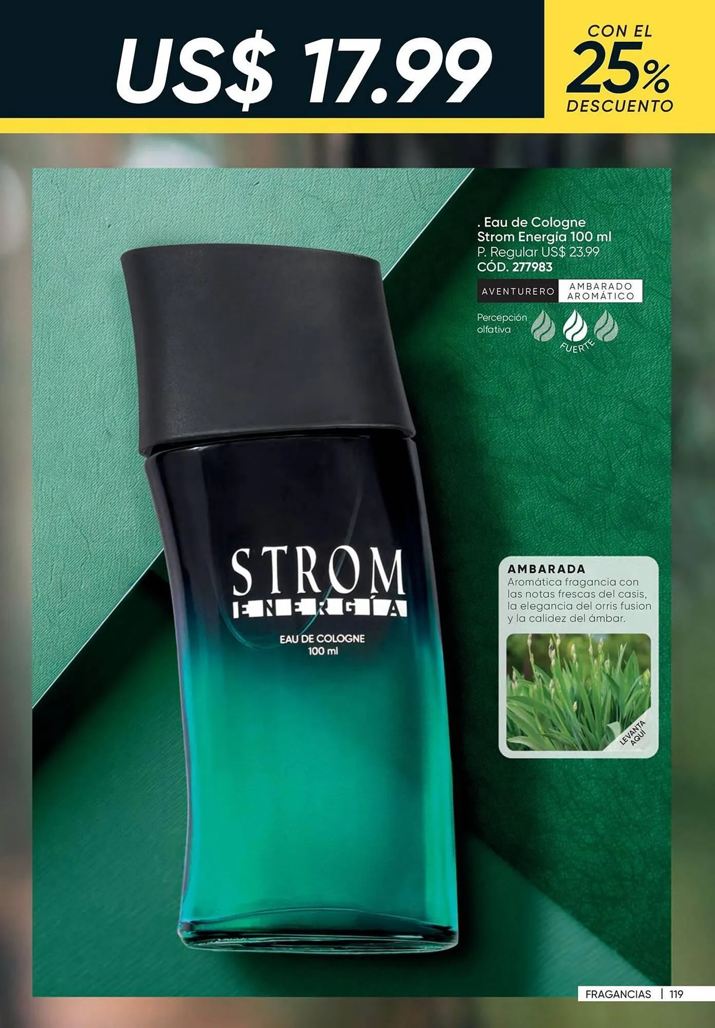 Catalogo de Catálogo Azzorti 8 de julio al 31 de diciembre 2025 - Pag 121